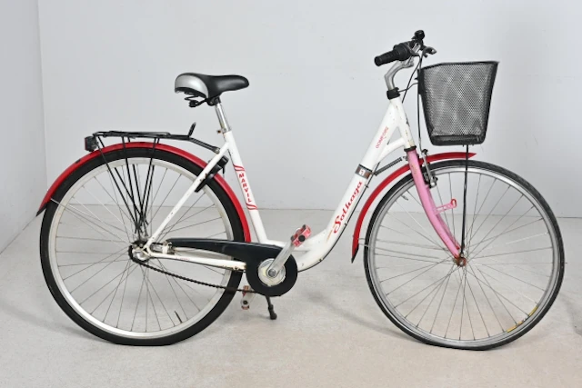 Damcykel, Solhaga