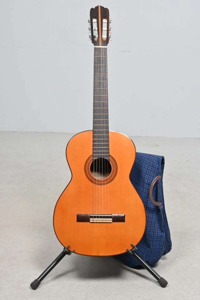 Gitarr, Ibanes