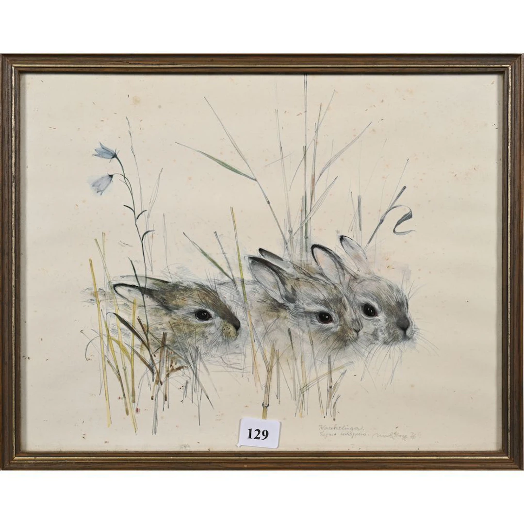 LITHOGRAPH, signed and dated 76. “Study of a Wild Rabbit.” H.21 L.27.