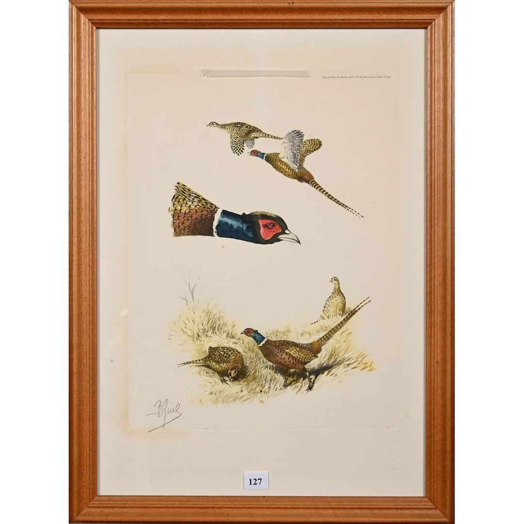 RIAB. “Study of a Pheasant.” Signed lithograph. H. 33, W. 25.