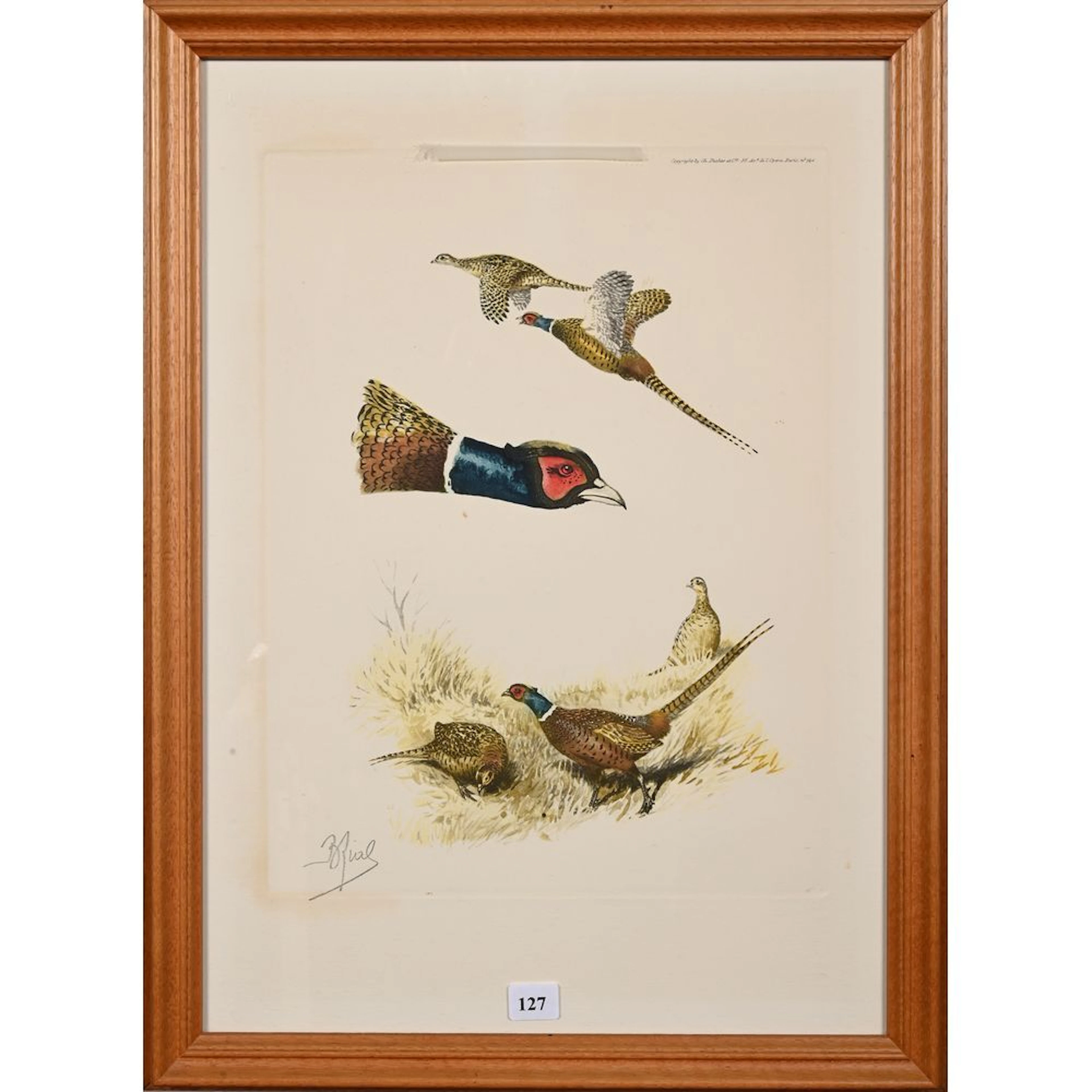 RIAB. “Study of a Pheasant.” Signed lithograph. H. 33, W. 25.