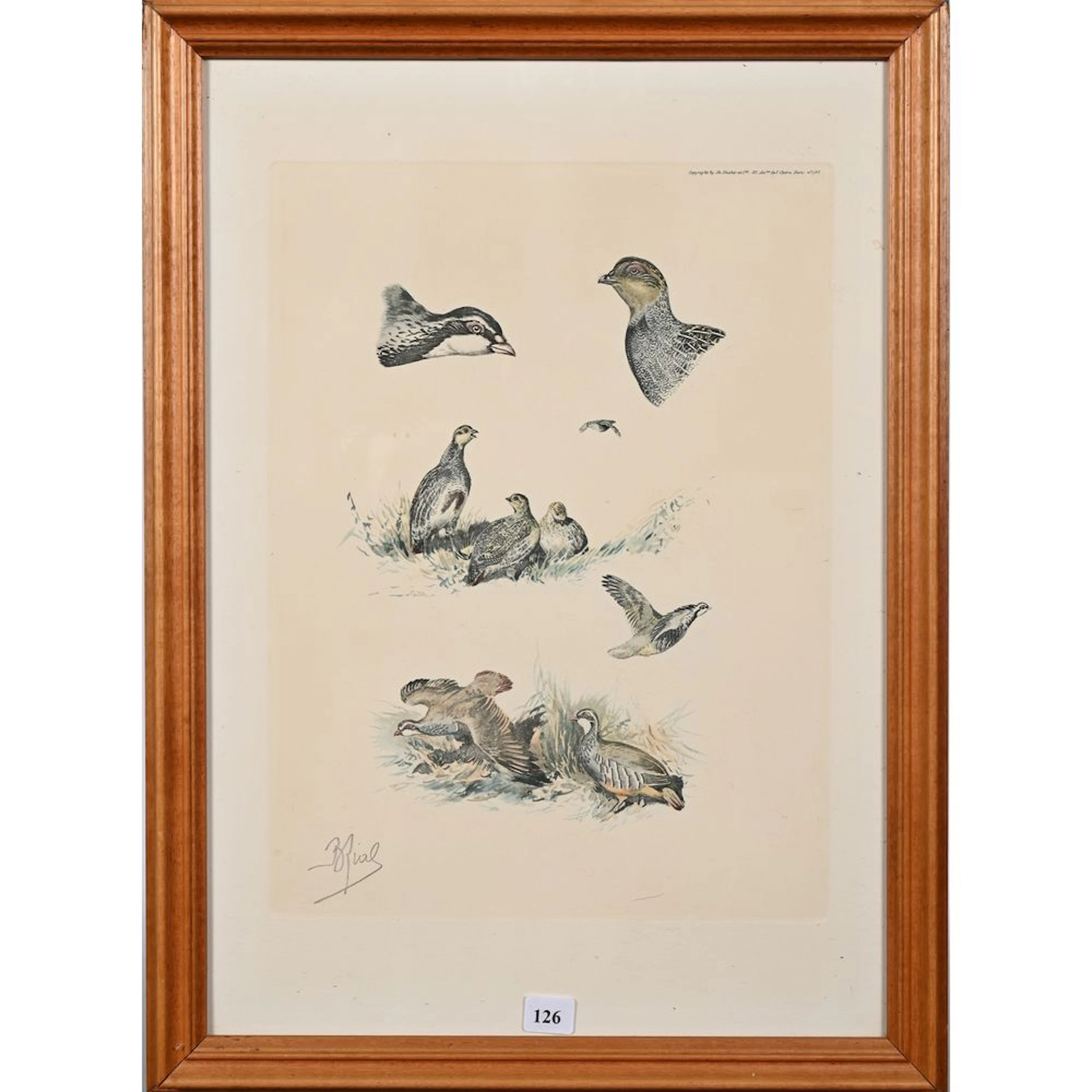 RIAB. “Study of a Partridge.” Color lithograph. H. 34 L. 25.