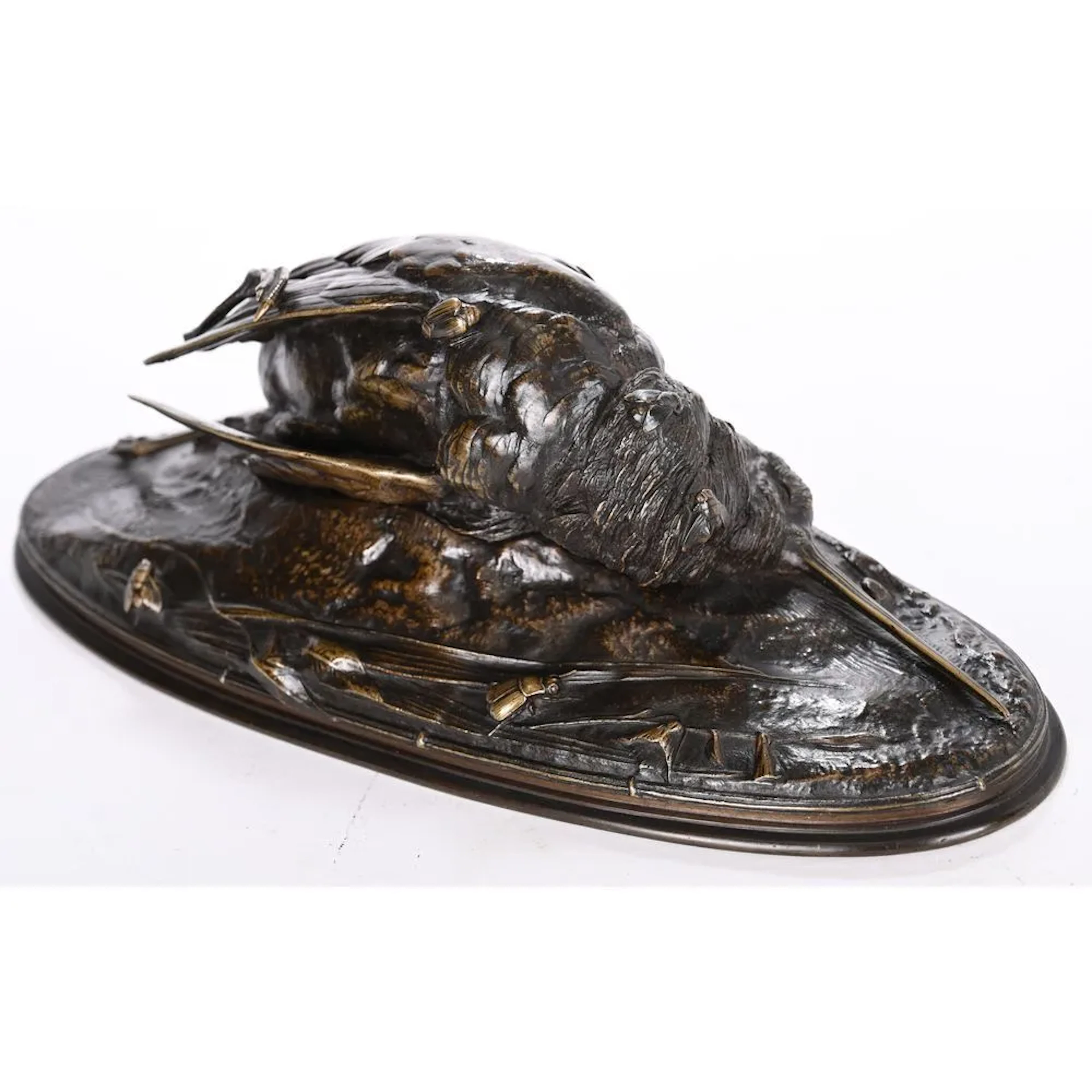 CAIN Auguste (1821-1894). "Woodcock". Rare bronze print with brown