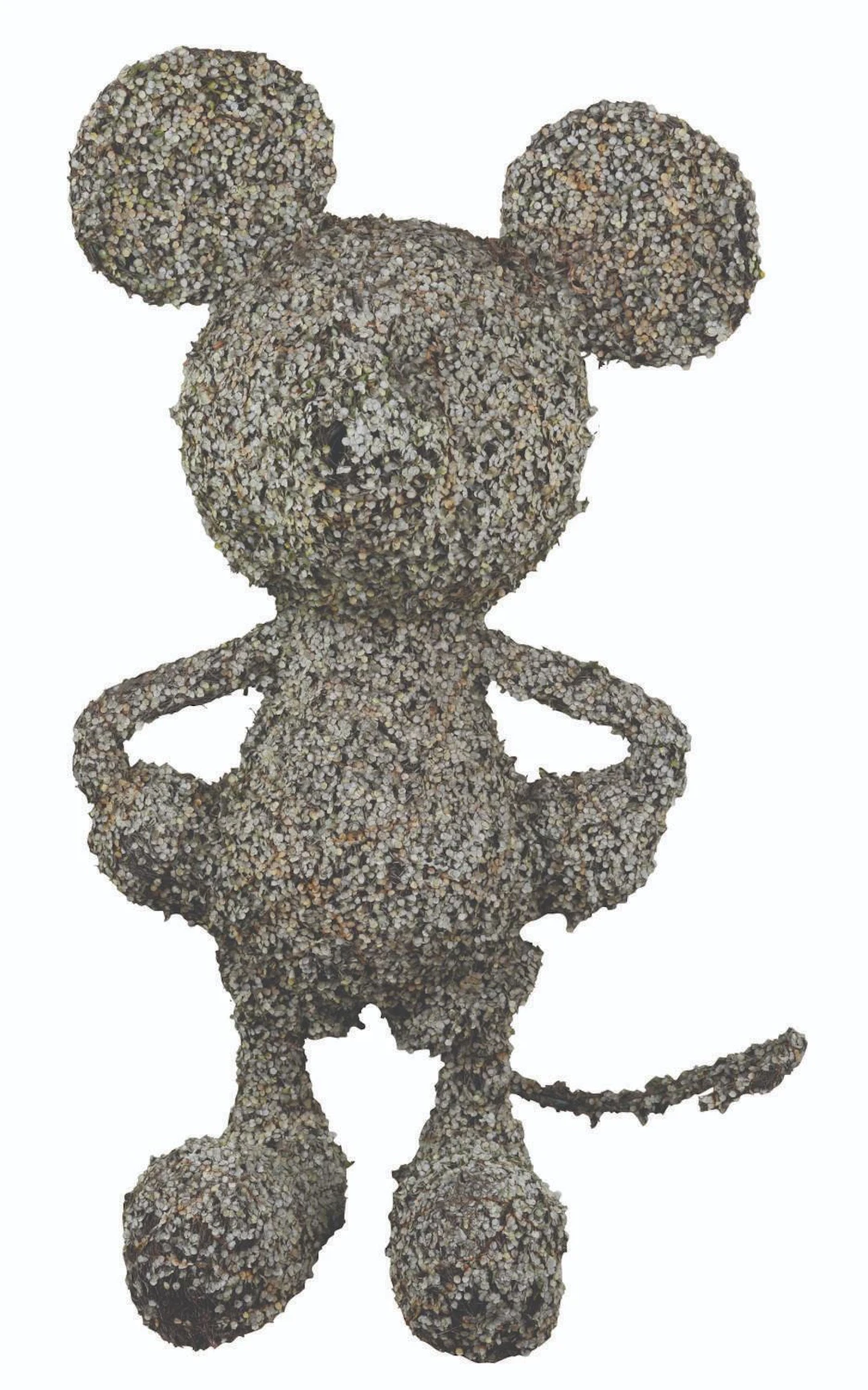 A Mickey Mouse Topiary.