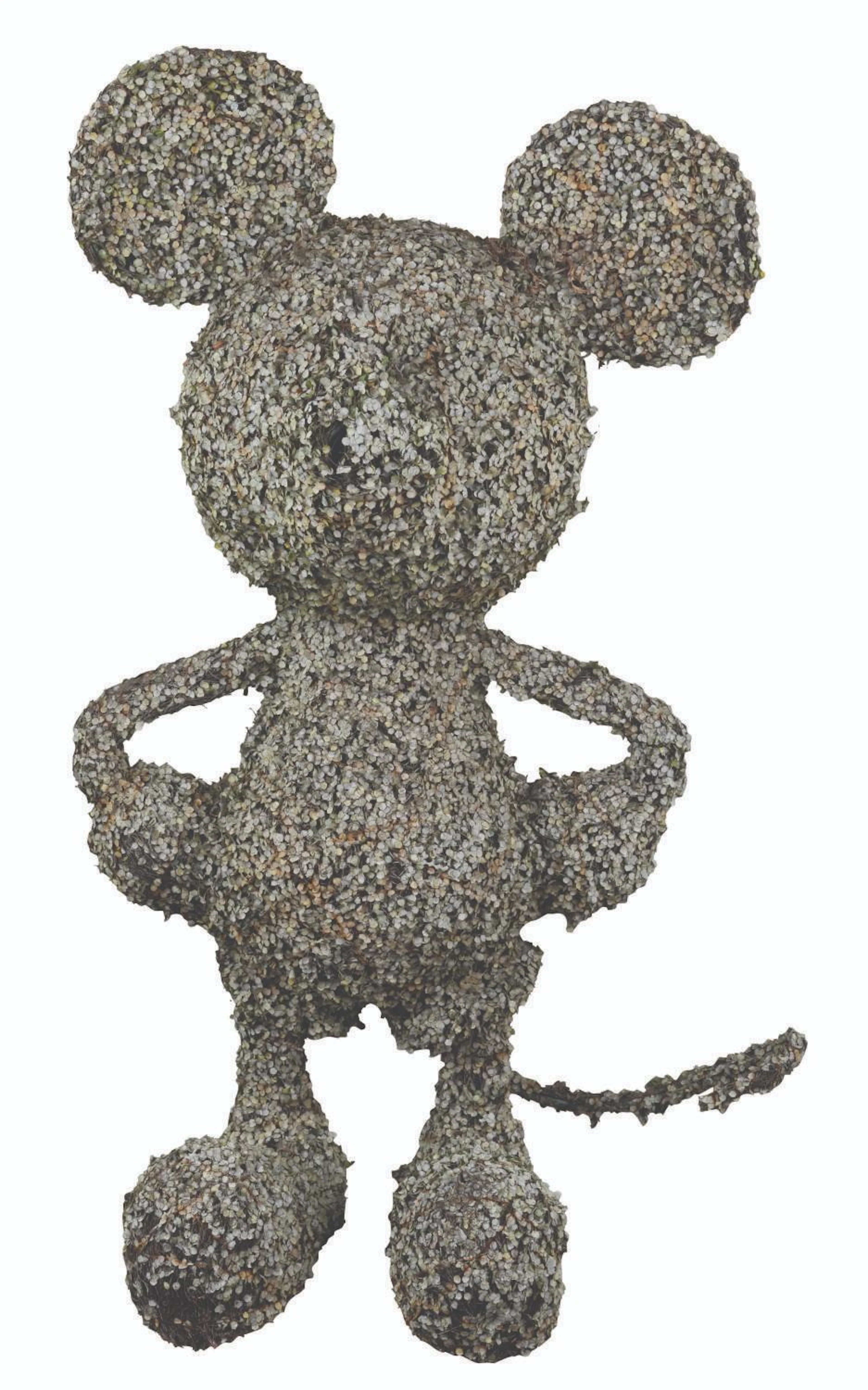 A Mickey Mouse Topiary.