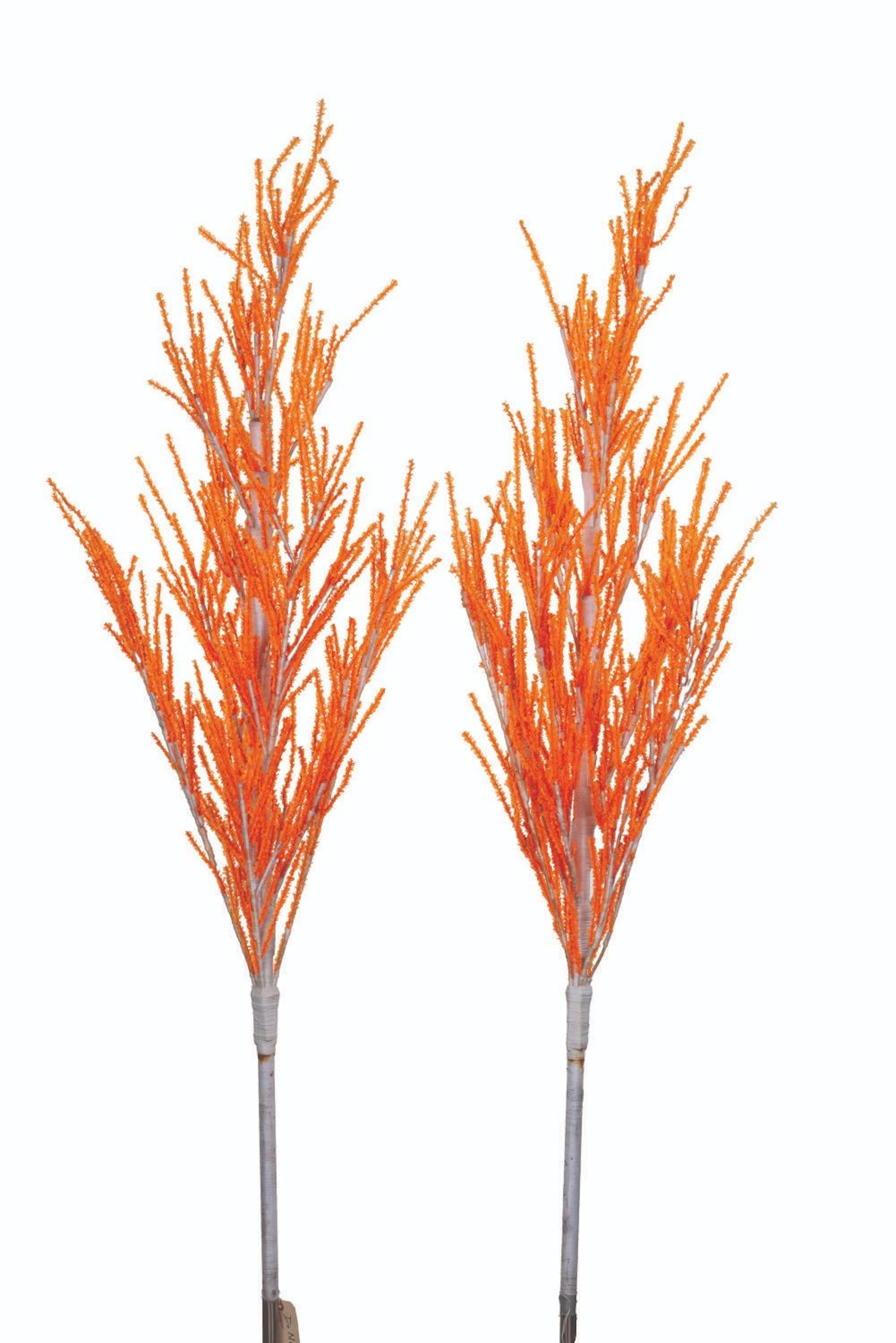 A Pair of Disneyland Resort Halloween Tree Props.