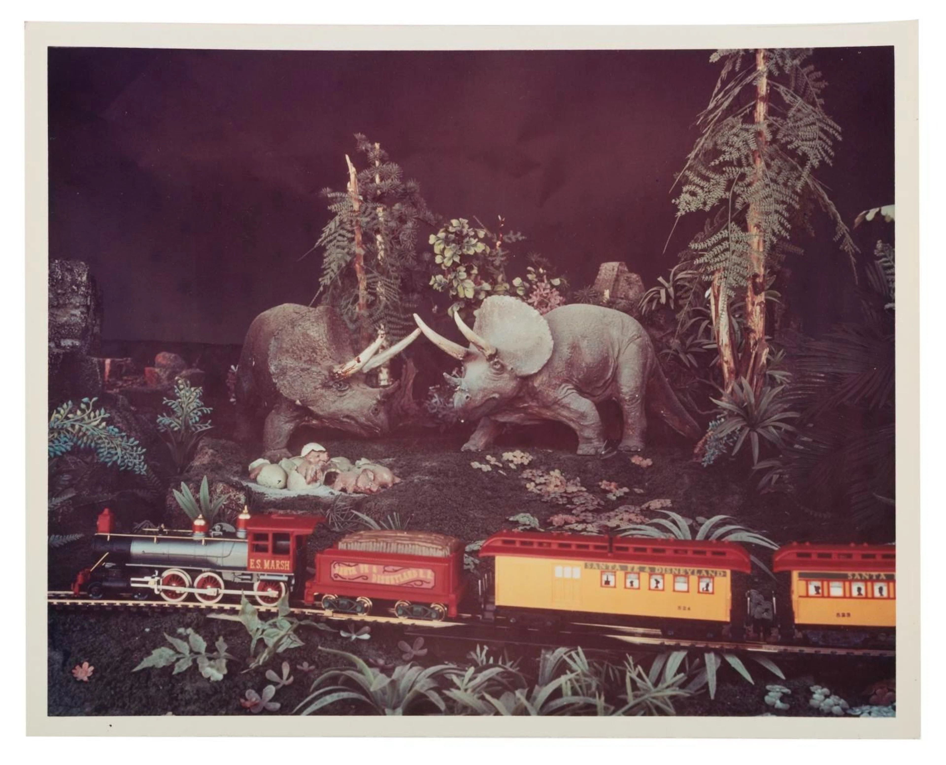 A Primeval World Triceratops Model Photo.