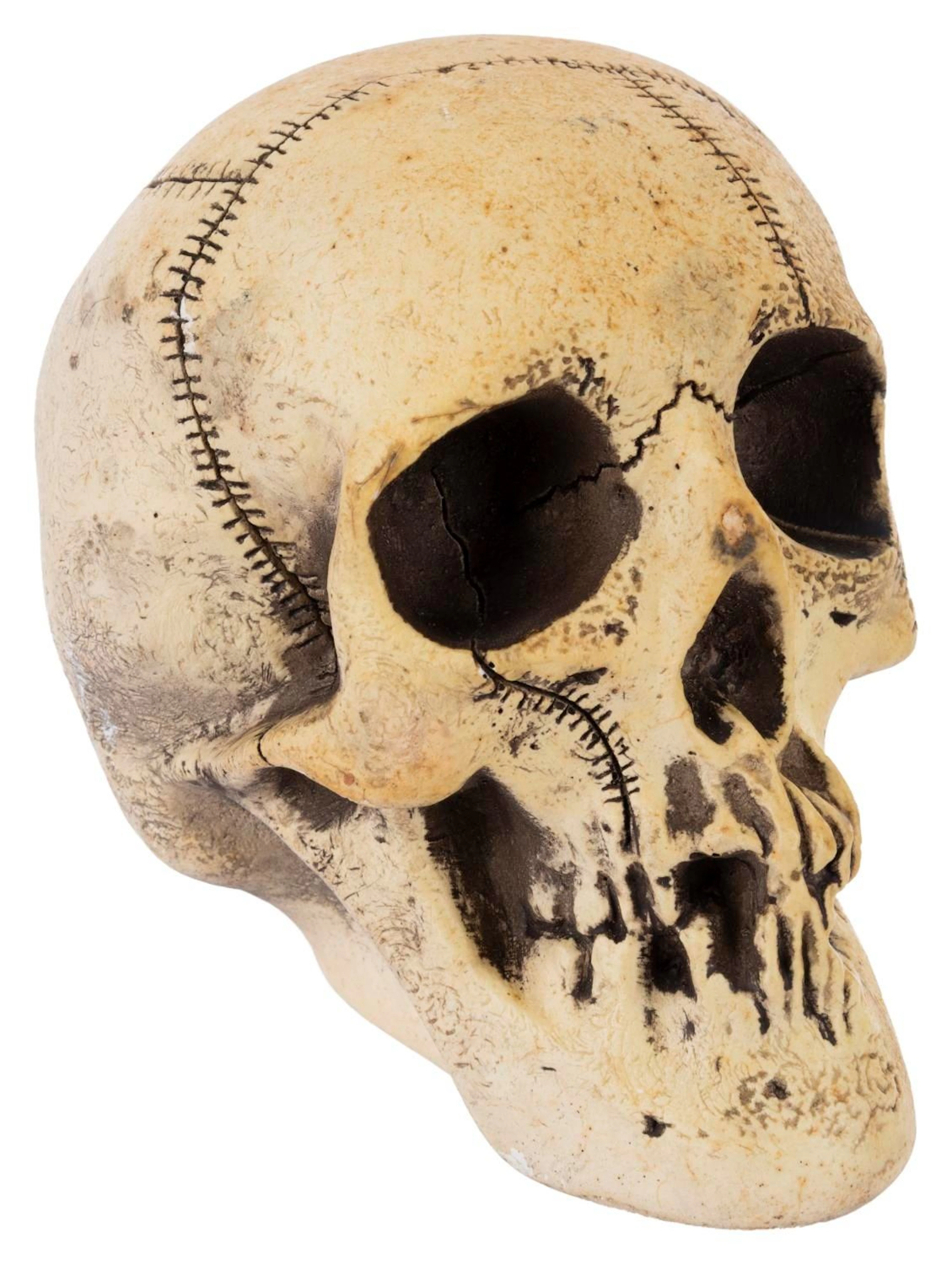 A Randotti Large Souvenir Skull.