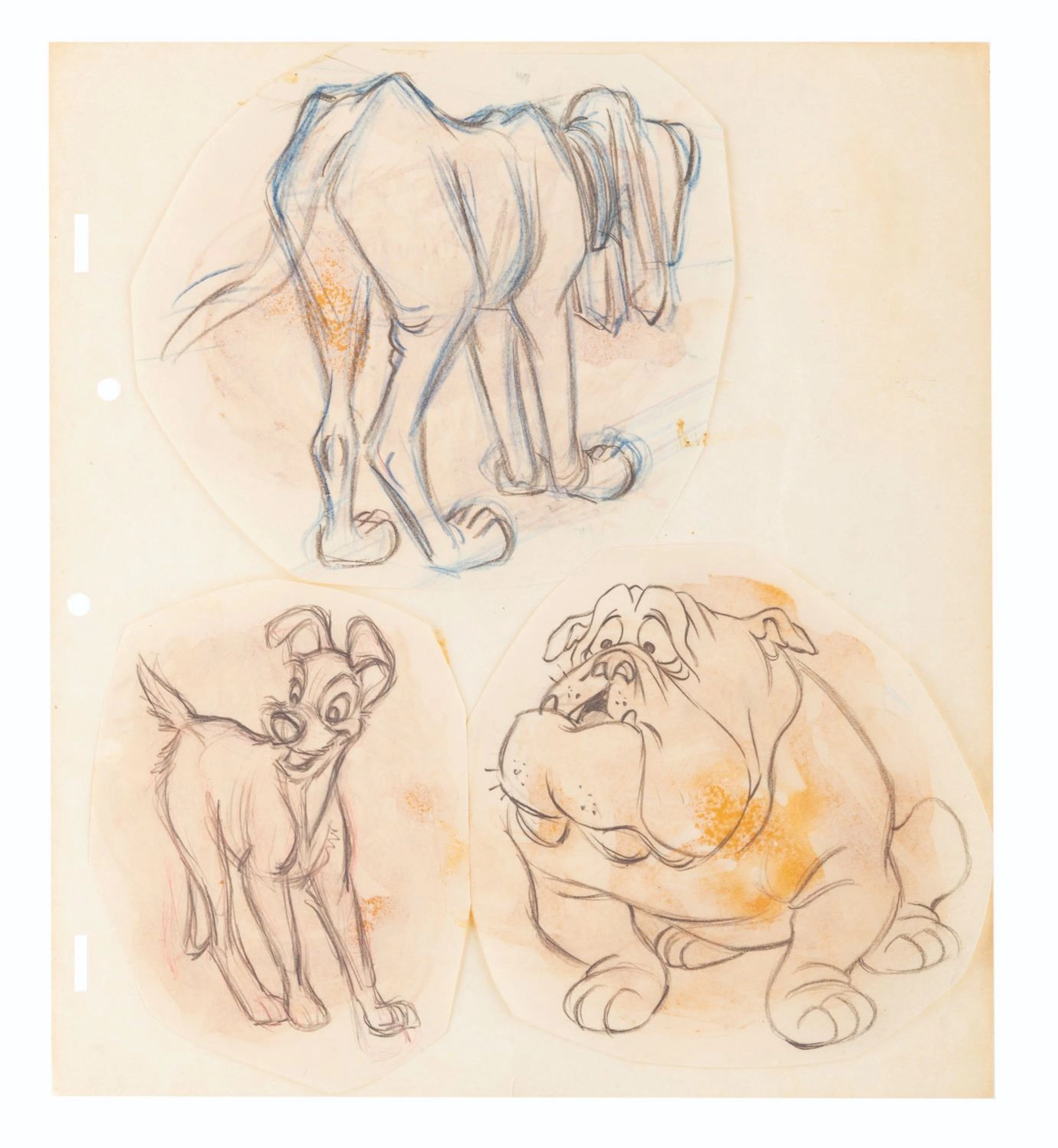 A Trio of "Lady and the Tramp" Character Sketches.