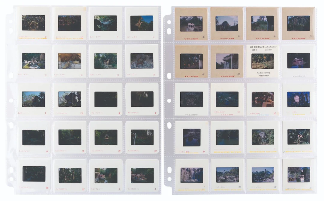 A Collection of Jungle Cruise Slides.