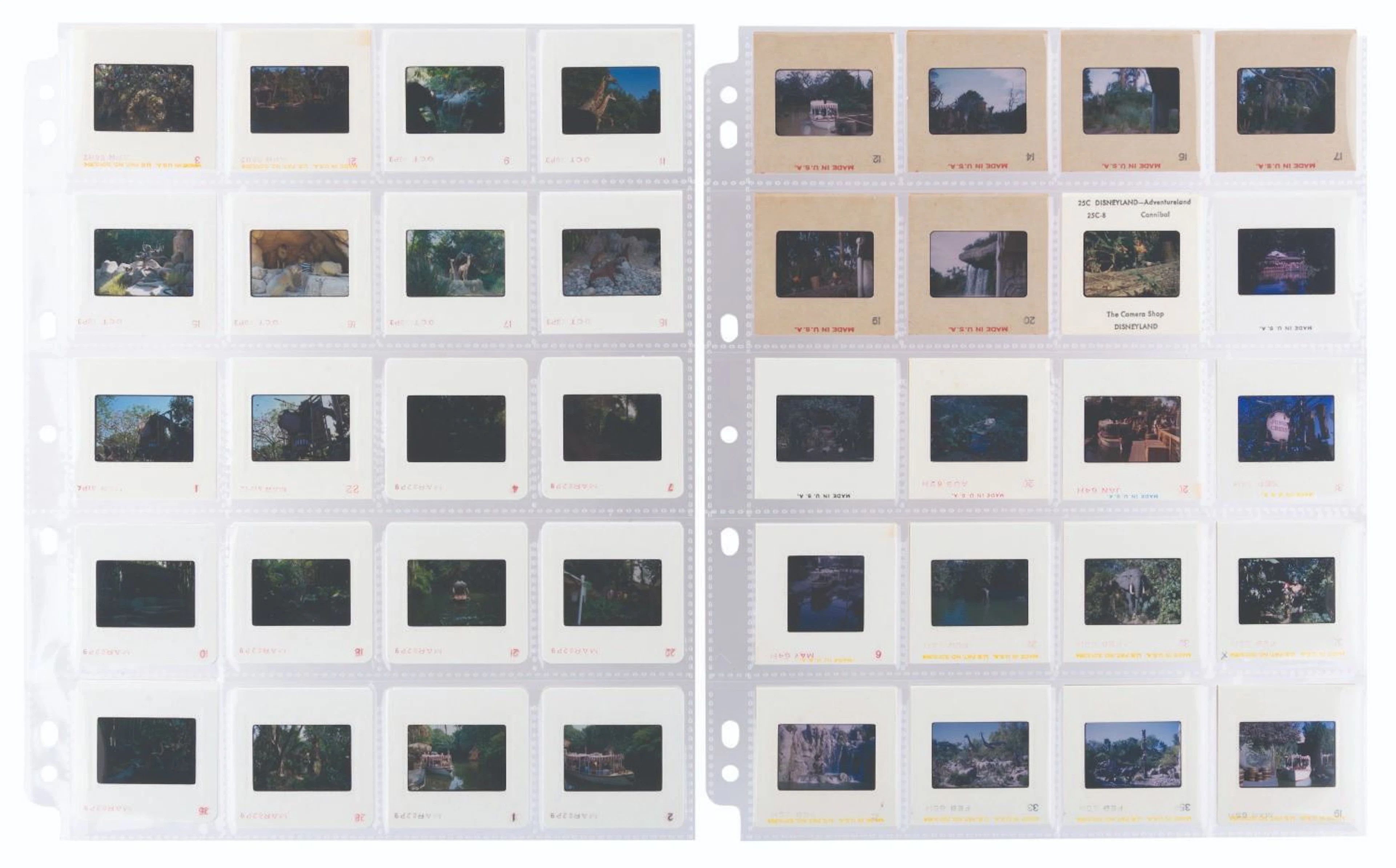 A Collection of Jungle Cruise Slides.