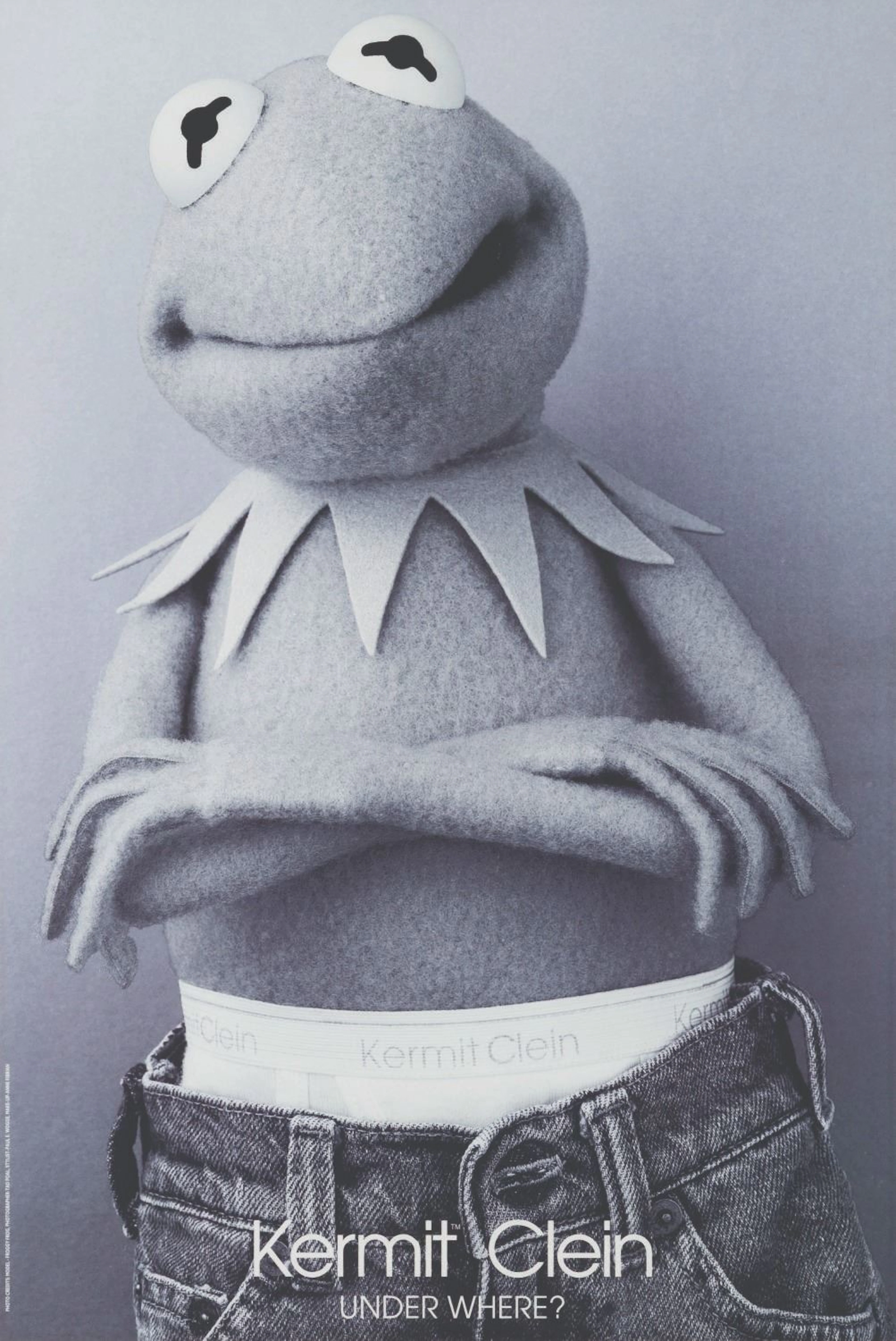 A Kermit the Frog Calvin Klein Spoof Poster.