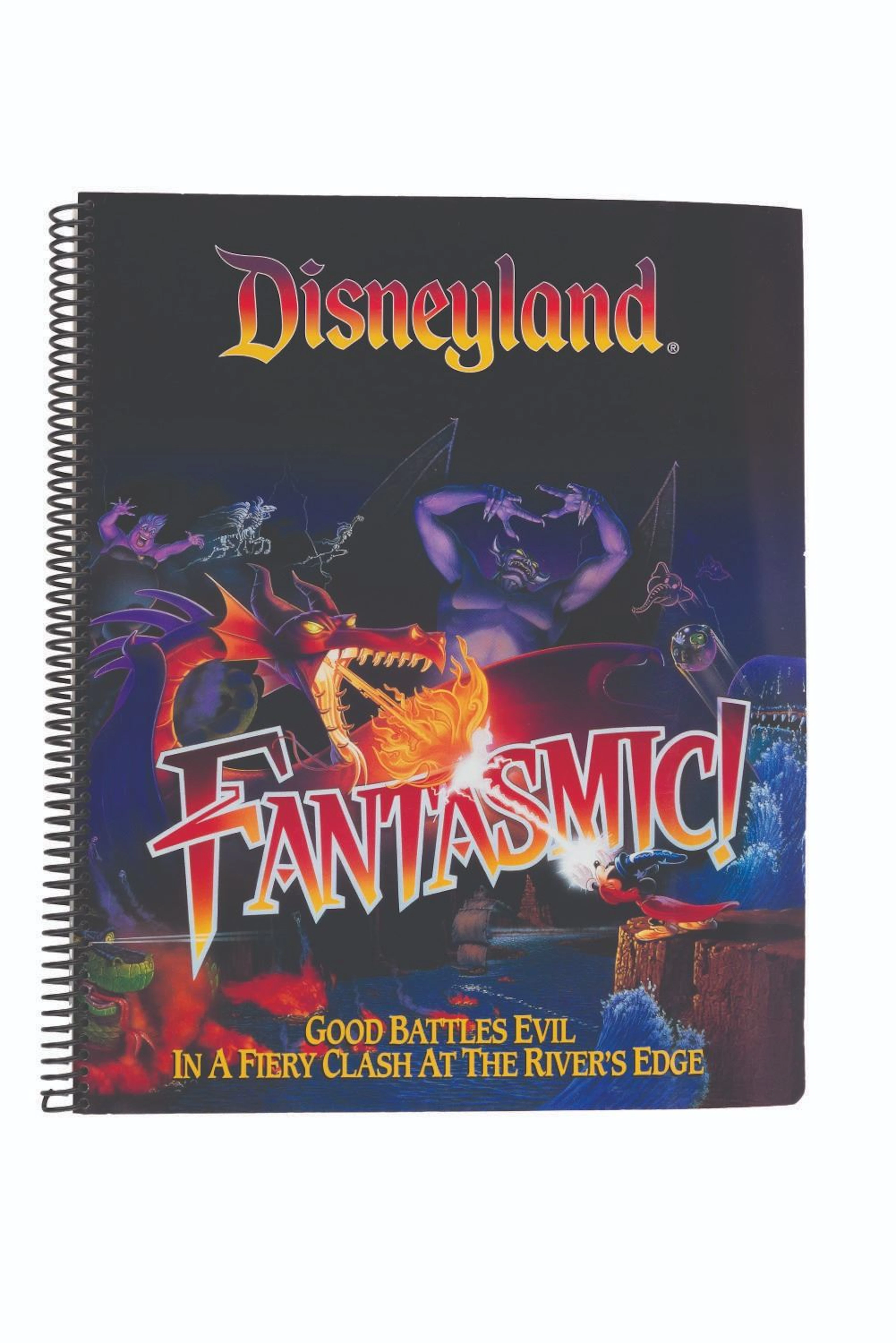 A Disneyland History of the Walt Disney Company Book.