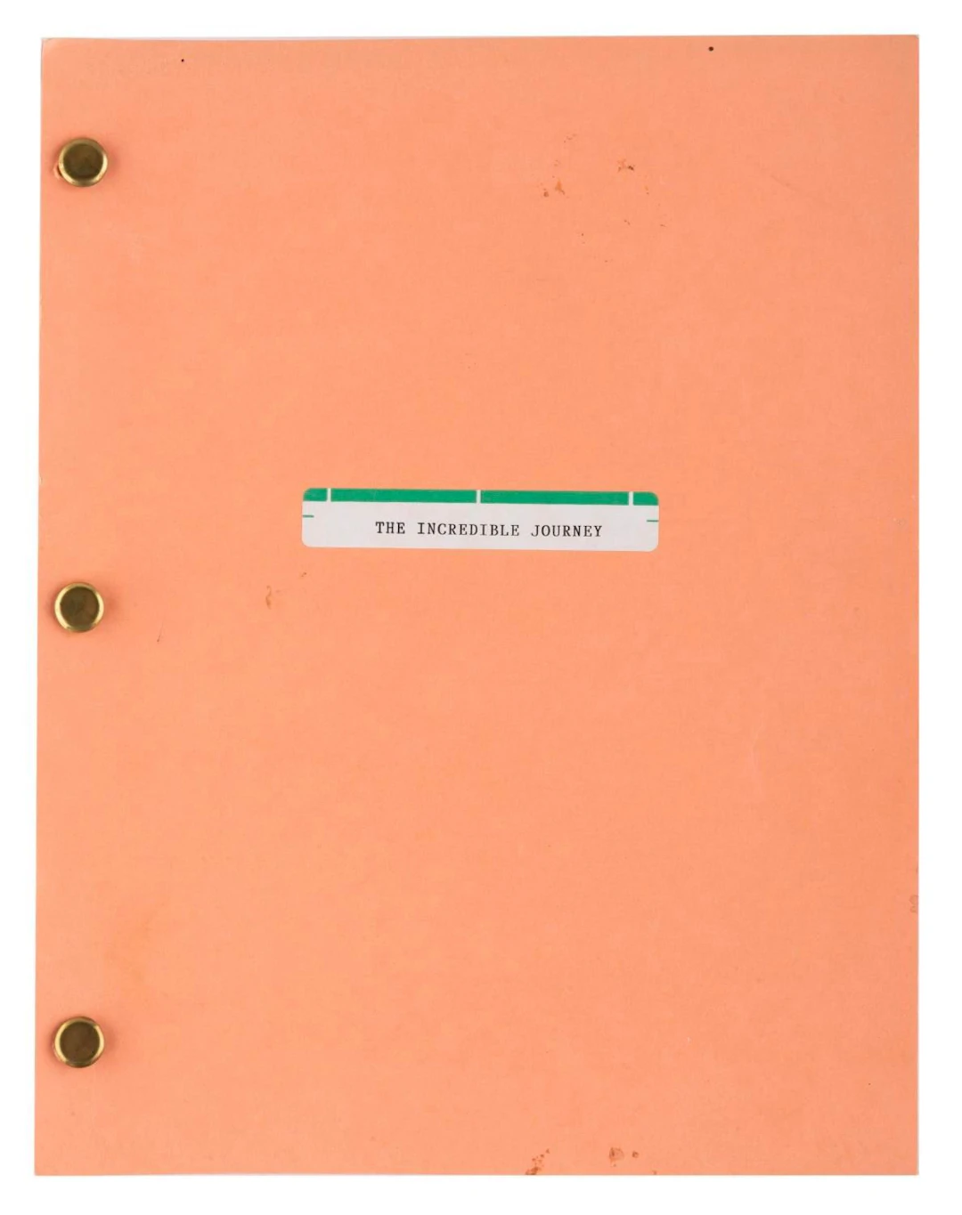 An "The Incredible Journey" Script.