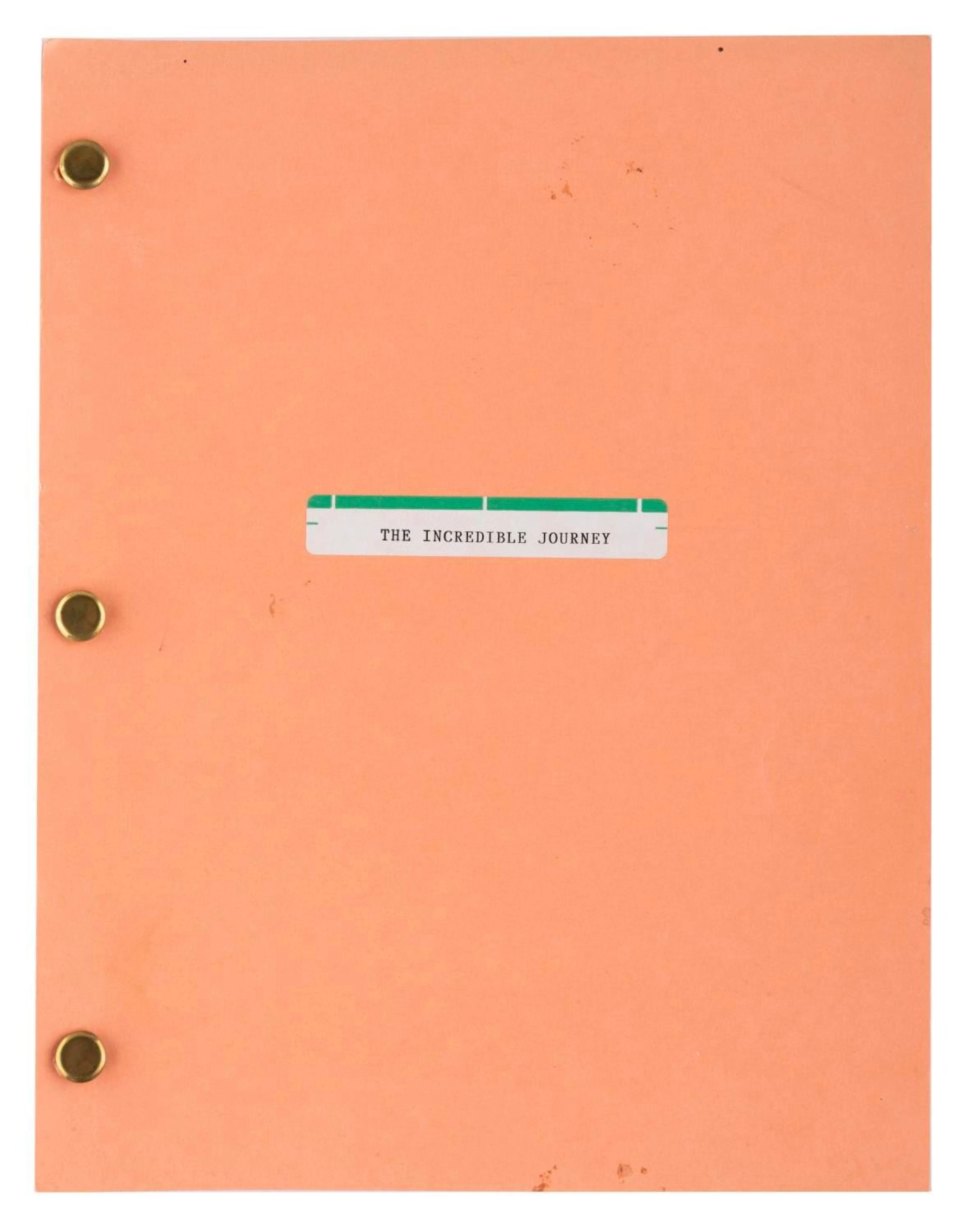 An "The Incredible Journey" Script.