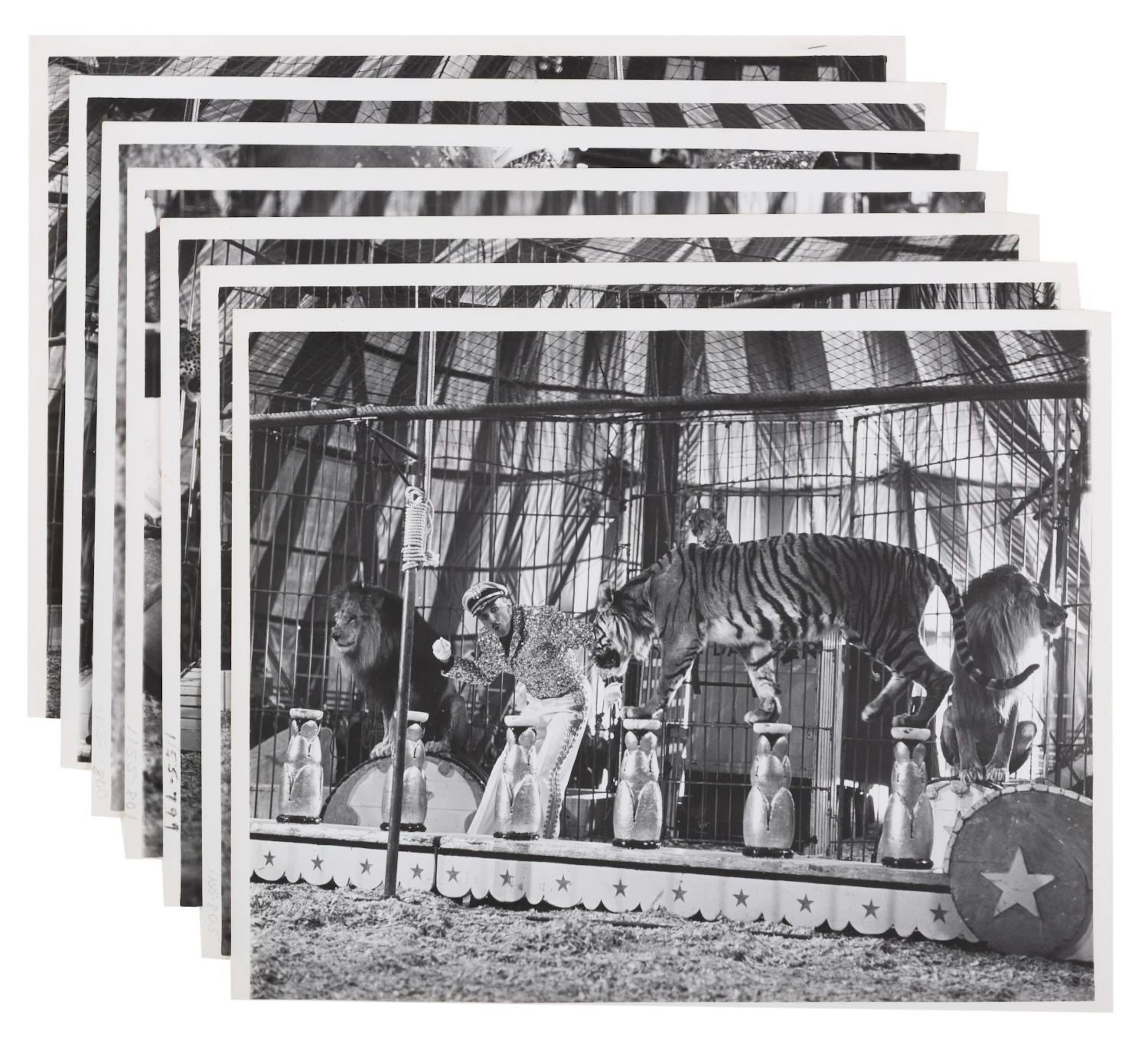 Mickey Mouse Club Circus Keller’s Feline Fantastics Photos.