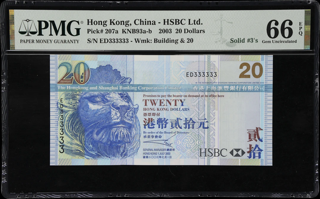 (t) HONG KONG (SAR). Hong Kong & Shanghai Banking Corporation. 20