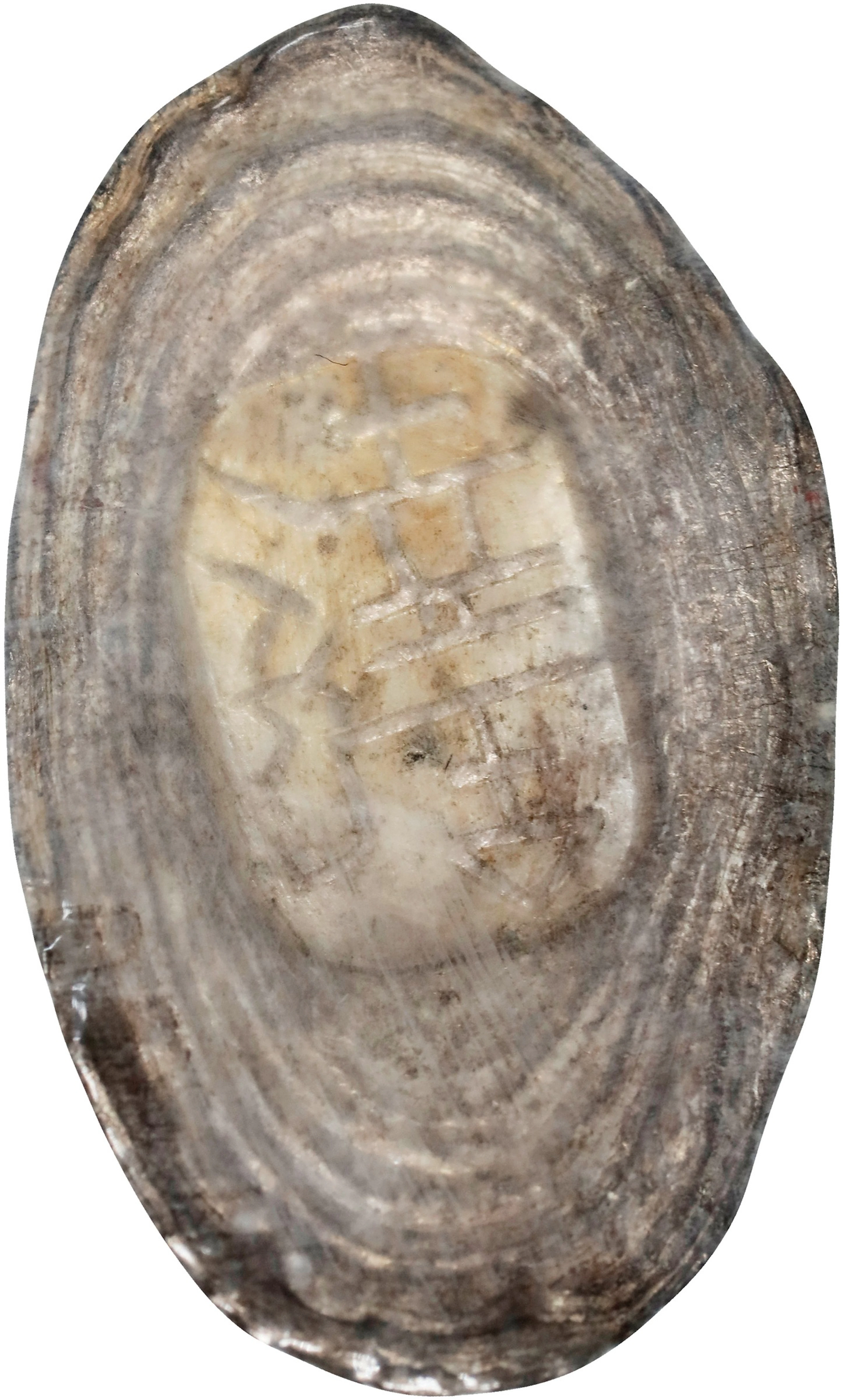 (t) CHINA. Yuansi Changyuankezi. Fine Silk Oval Ingots. Silver 0.35