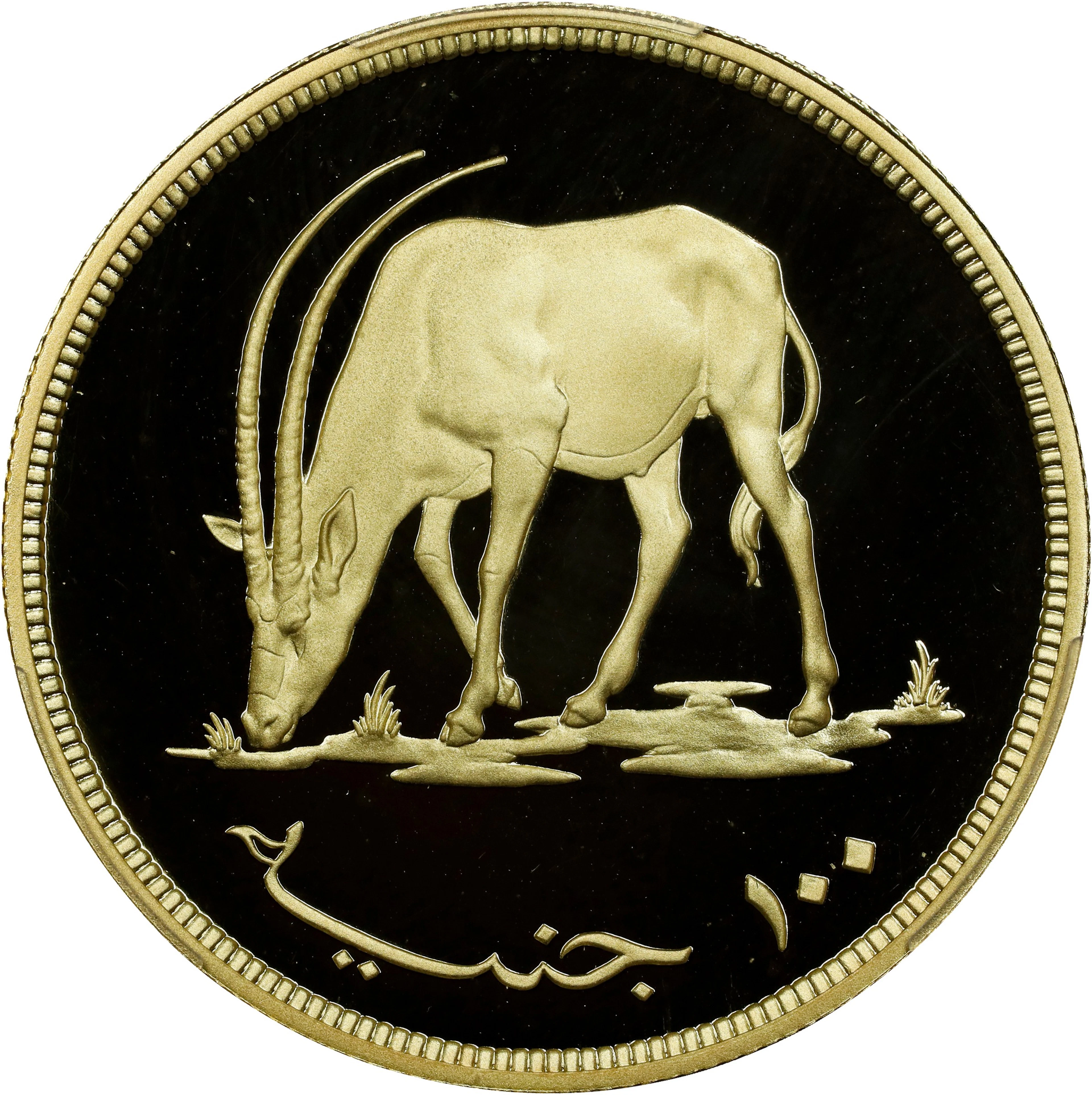 SUDAN. 100 Pounds, AH 1396/1976. Llantrisant Mint. PCGS PROOF-69 Deep Cameo.
