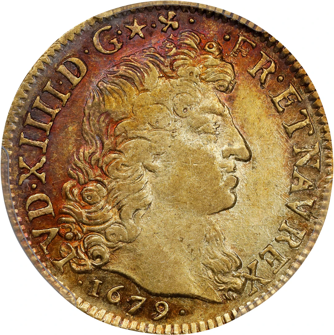 FRANCE. Louis d'Or à la Tête Virile, 1679-N. Montpellier Mint. Louis