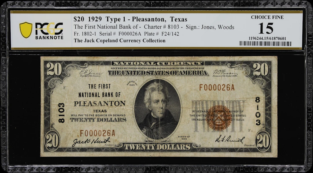 Pleasanton, Texas. $20 1929 Ty. 1. Fr. 1802-1. First NB. Charter #8103.