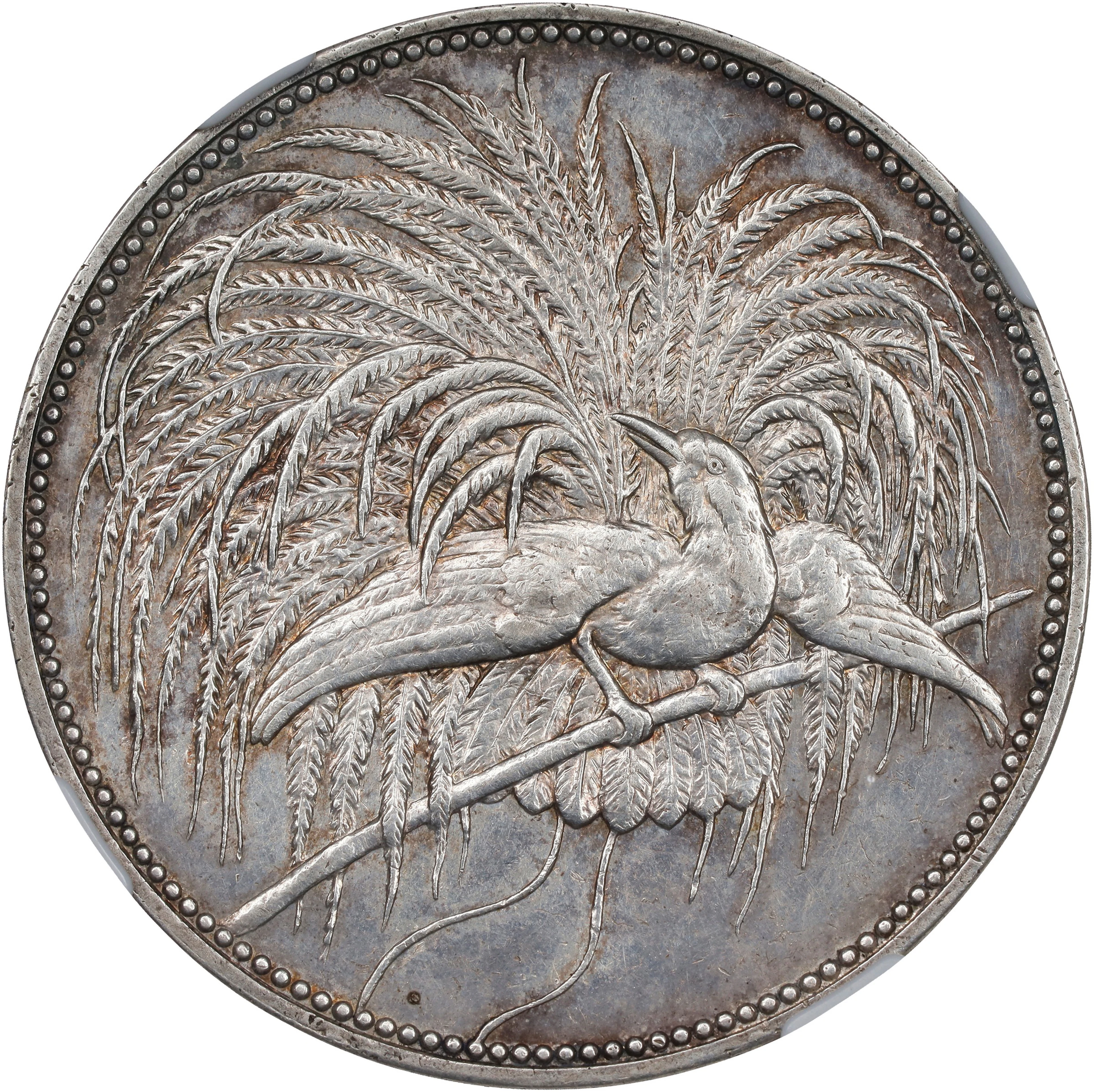 GERMAN NEW GUINEA. 5 Mark, 1894-A. Berlin Mint. Wilhelm II. NGC AU