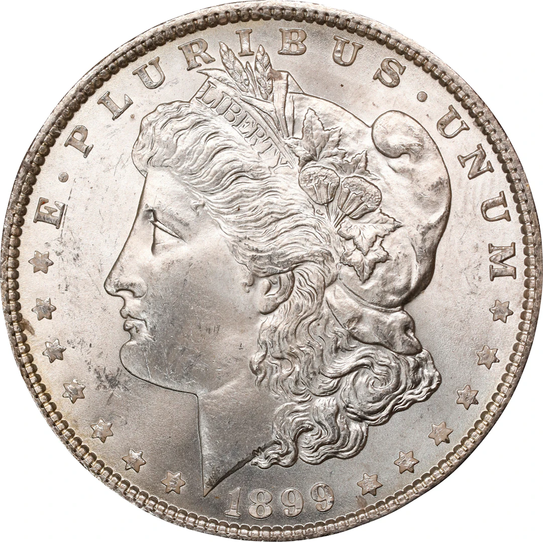 1899 Morgan Silver Dollar. MS-64 (PCGS). OGH Generation 1.2 Rattler.