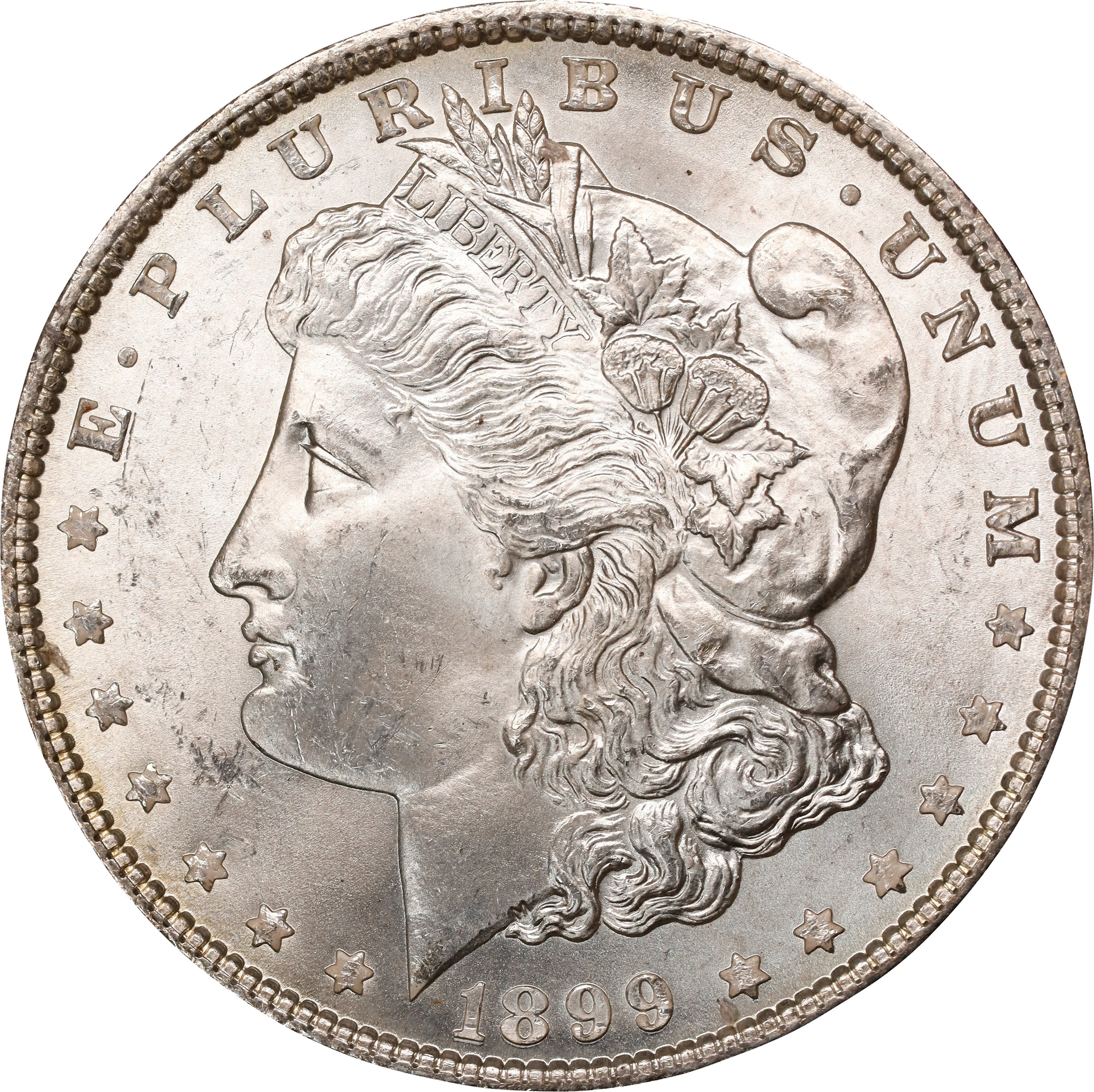 1899 Morgan Silver Dollar. MS-64 (PCGS). OGH Generation 1.2 Rattler.