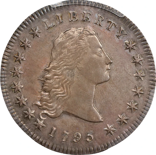 1795 Flowing Hair Silver Dollar. BB-21, B-1. Rarity-1. Two Leaves.
