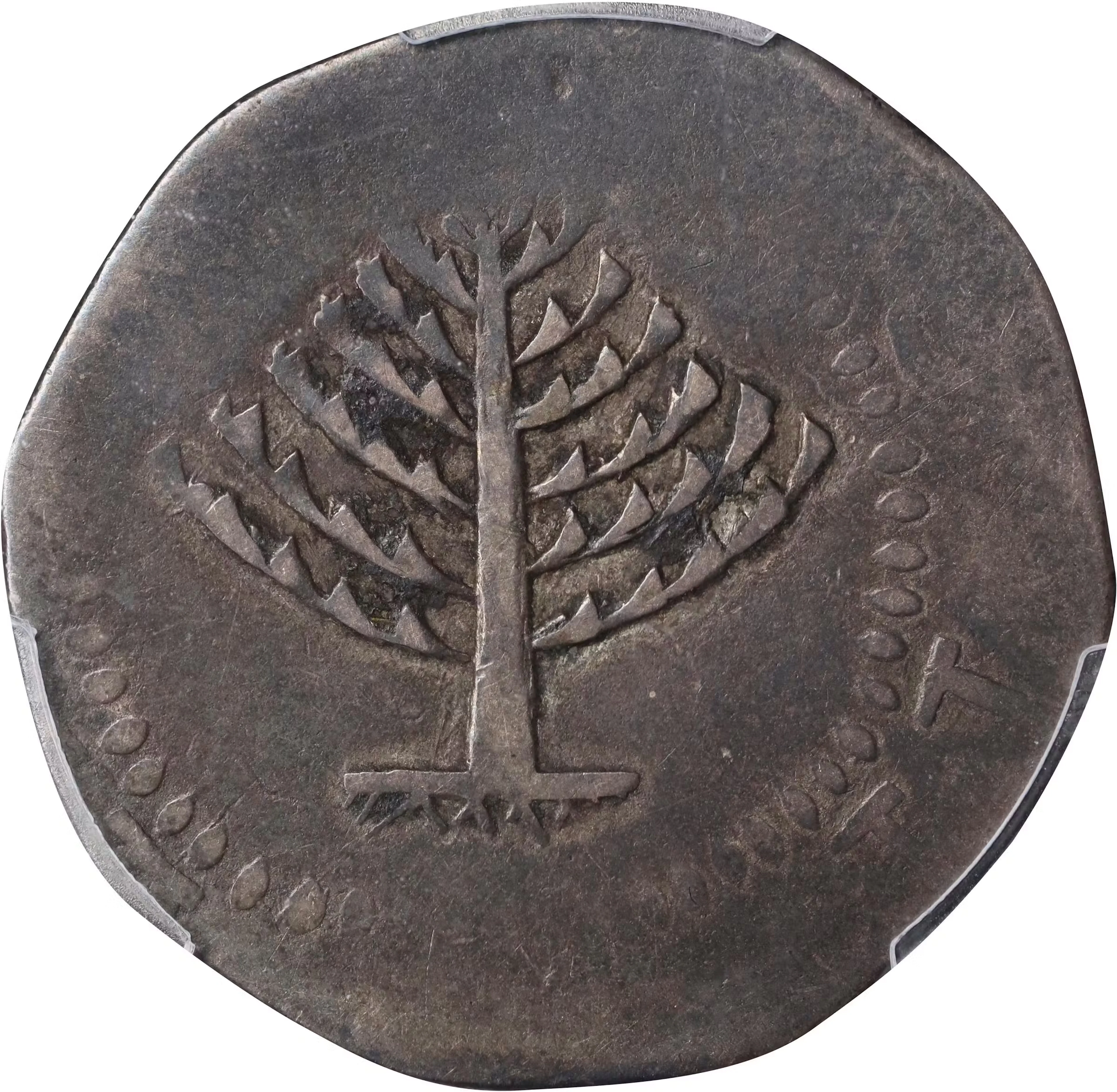 1652 Pine Tree Shilling. Large Planchet. Noe-13, Salmon 13-X, W-780.