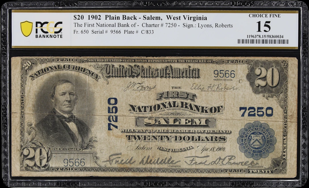 Salem, West Virginia. $20 1902 Plain Back. Fr. 650. First NB. Charter