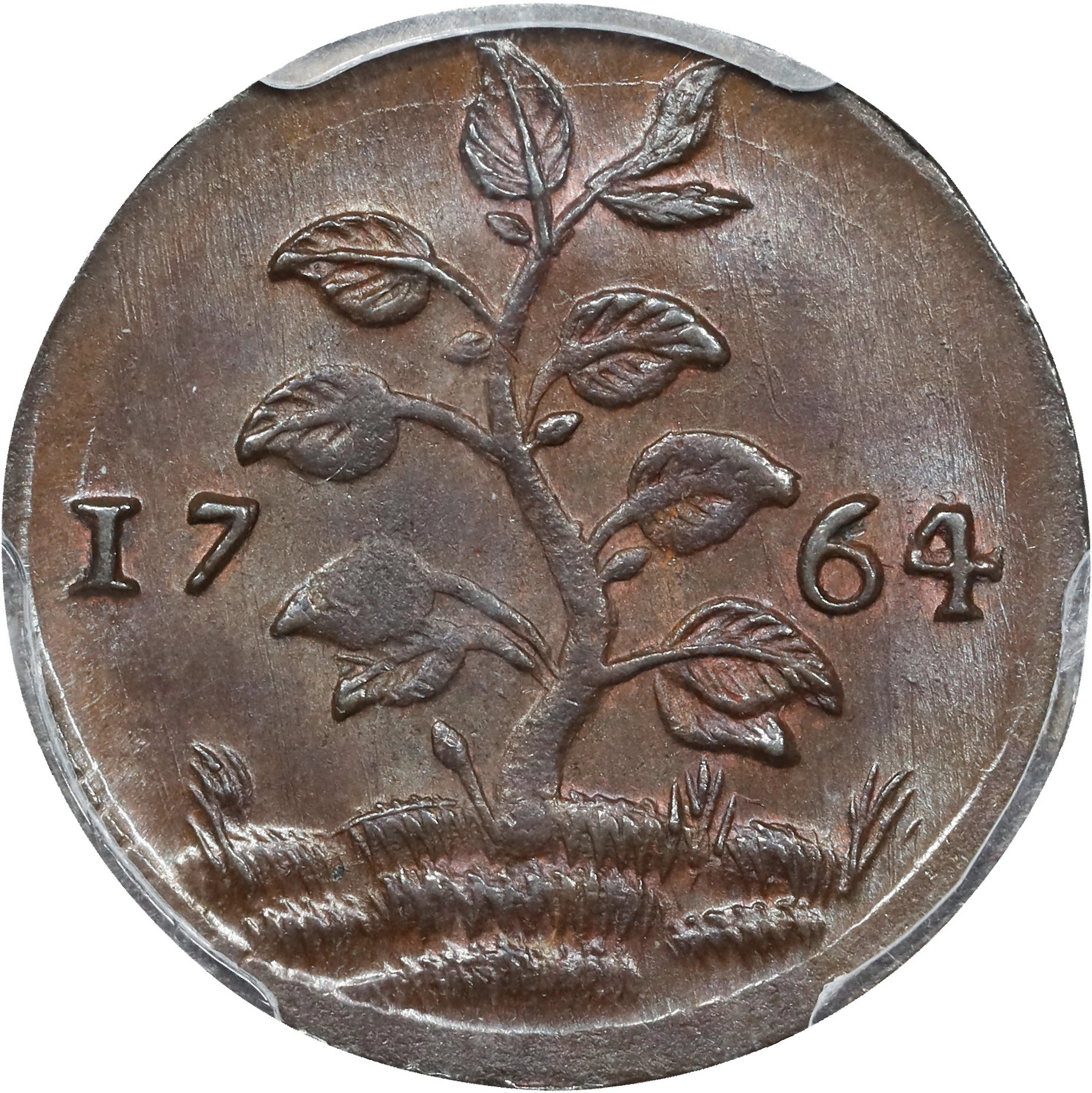 DUTCH GUIANA (SURINAME). Duit, 1764. Enkhuizen Mint. PCGS MS-64 Brown.