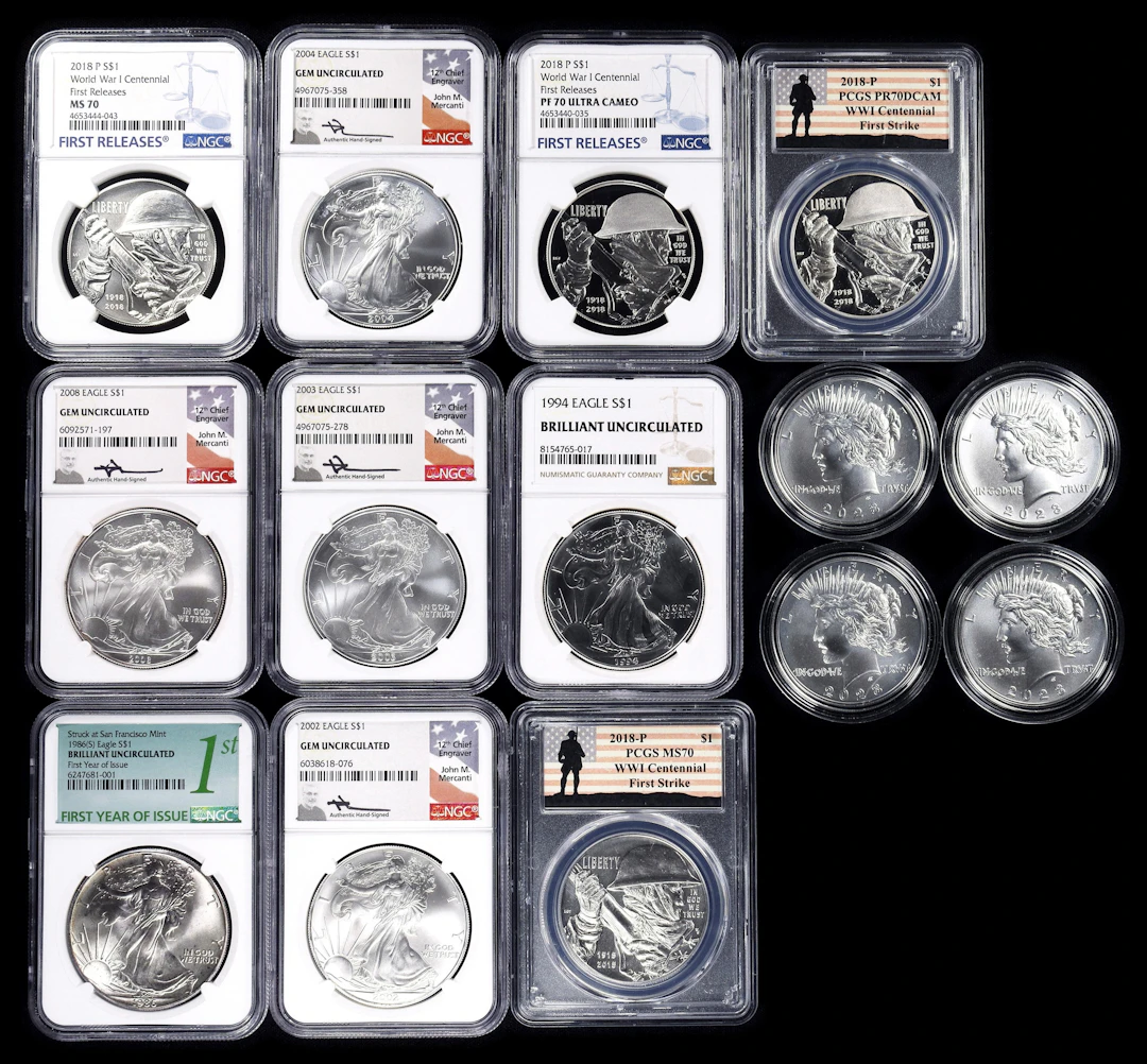(12.53 oz, 389.721 g ASW). Lot of (14) Mixed Certified and Weight Silver $1.