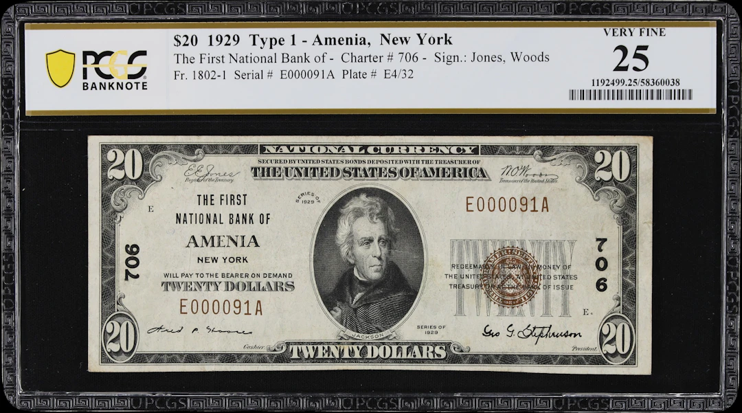 Amenia, New York. 1929 Ty. 1 $20 Fr. 1802-1. First NB. Charter #706.