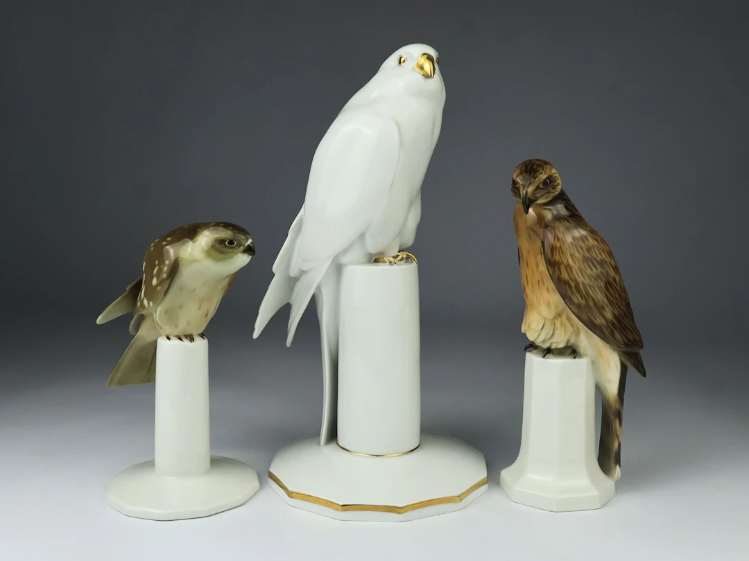 Hutschenreuther - Greifvögel