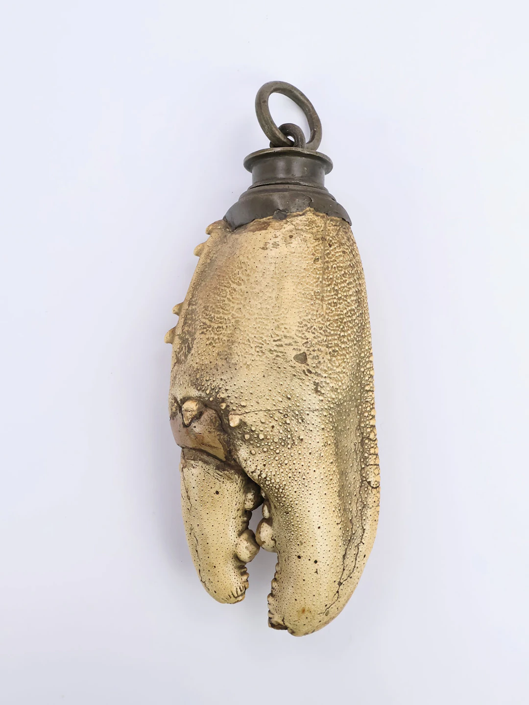 Pulverflasche