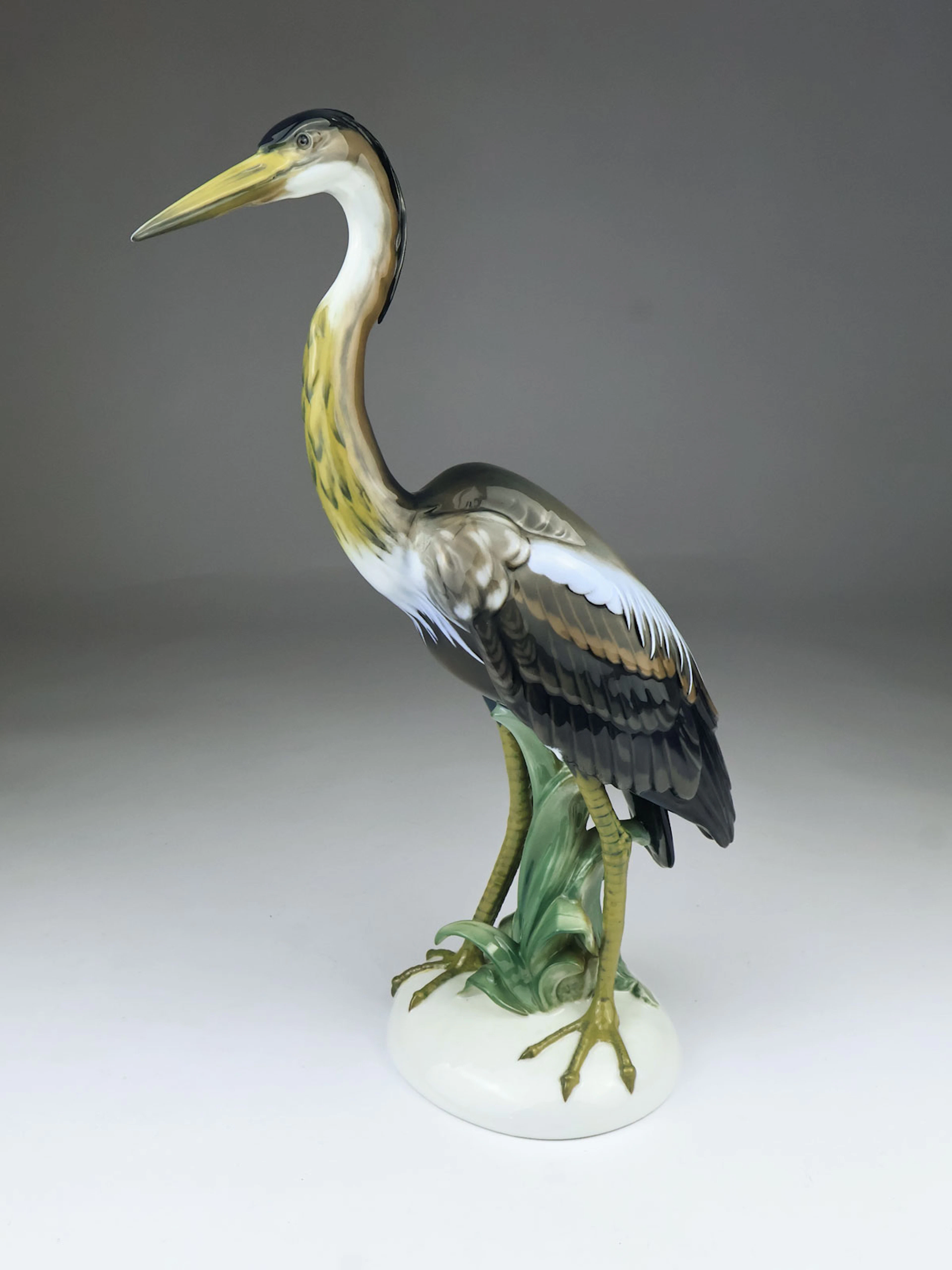 Rosenthal - Fischreiher