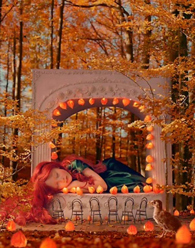 “The Forest Theatre” Helena Blomqvist