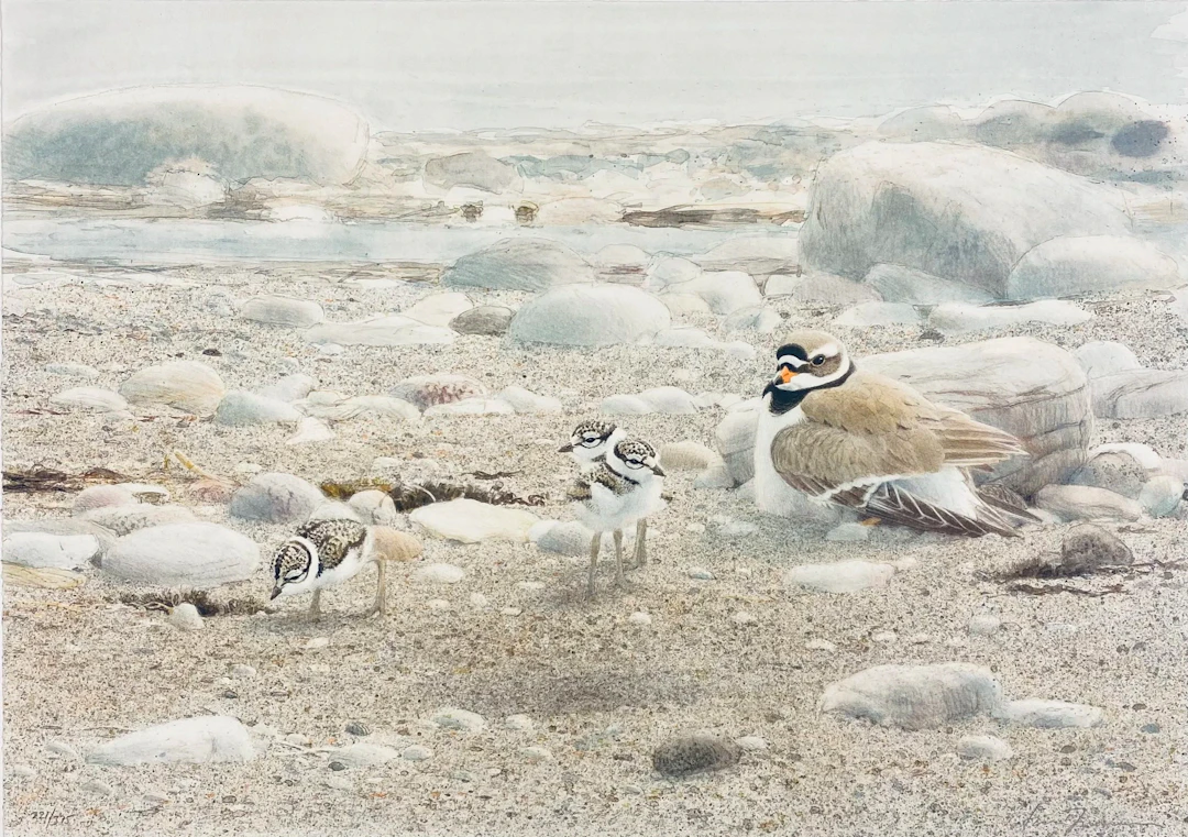 “VÅR STRAND” LARS JONSSON