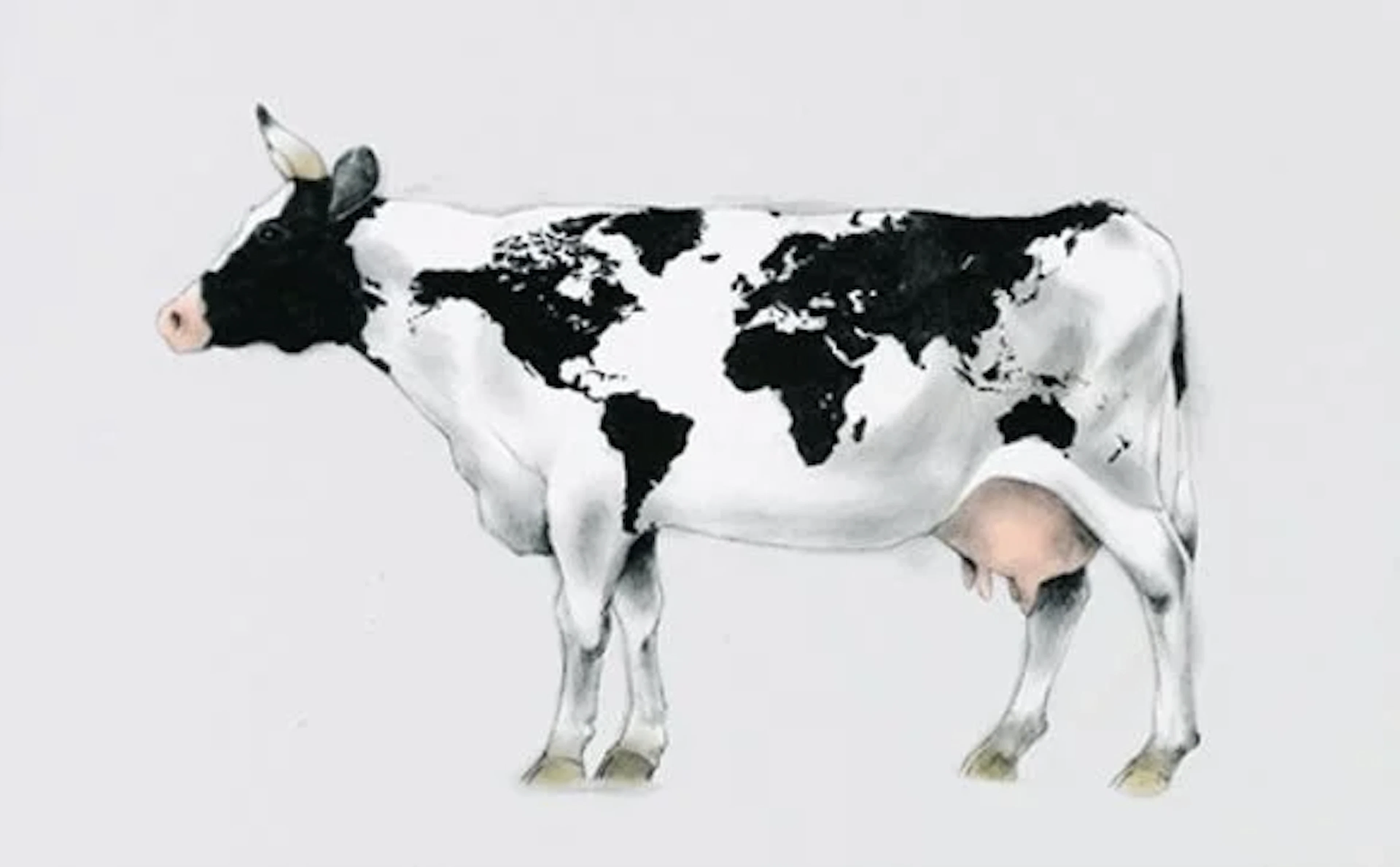 “WORLD COW” LASSE ÅBERG