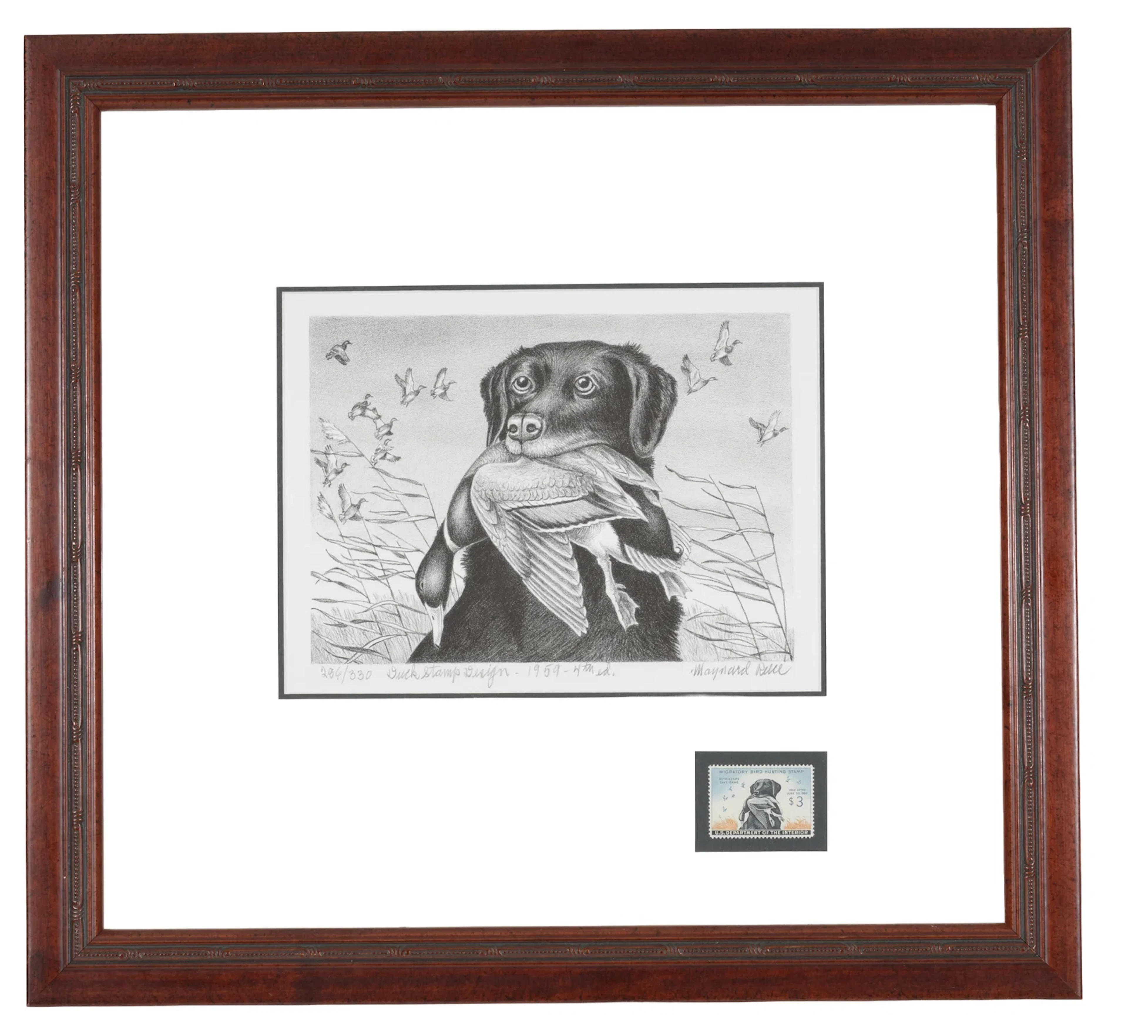 Maynard Reece. "King Buck". Duck stamp print with uncancelled $3 stamp.