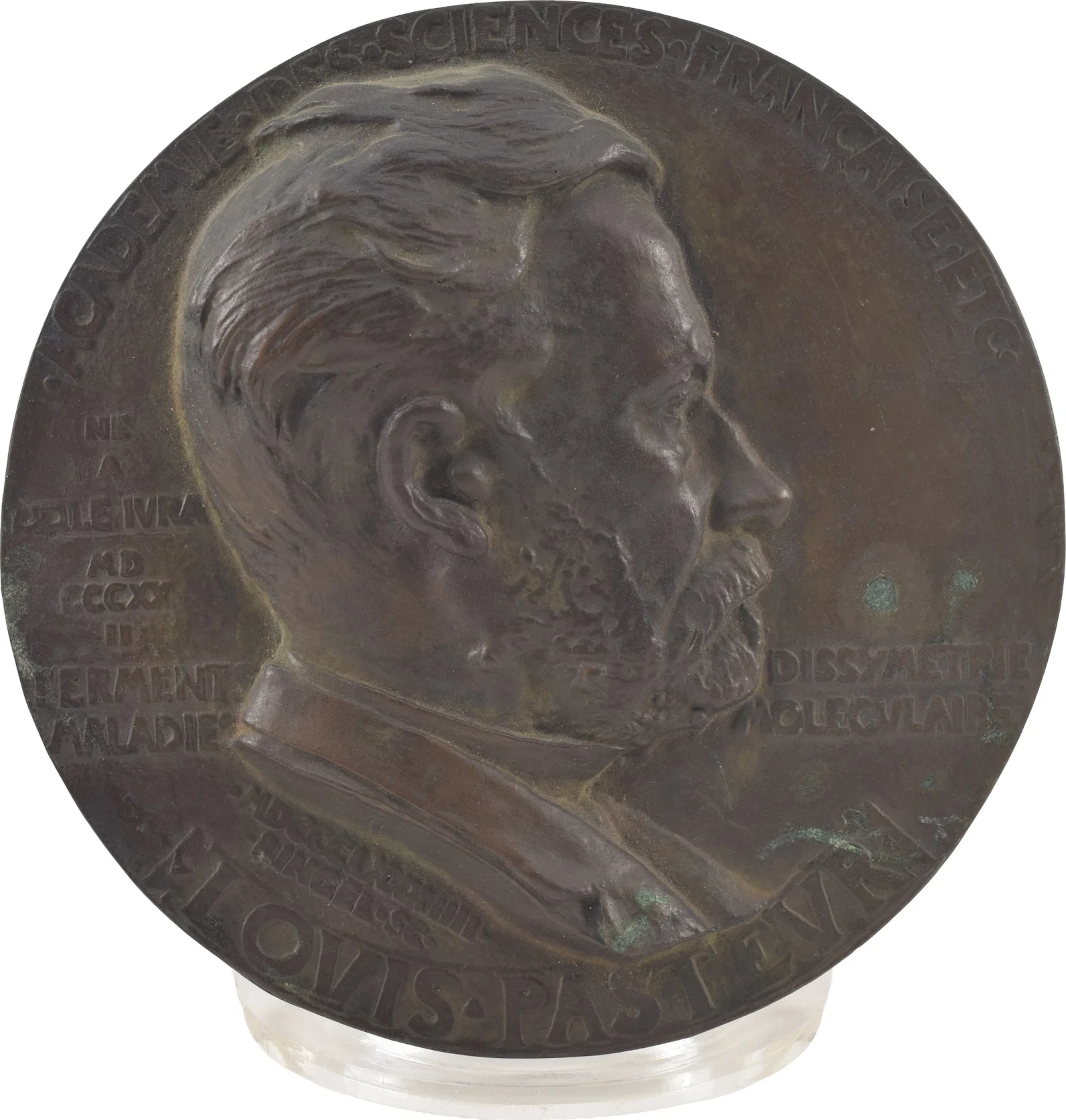Bronze medallion from Academie Des Sciences Francaise Etc, depicting