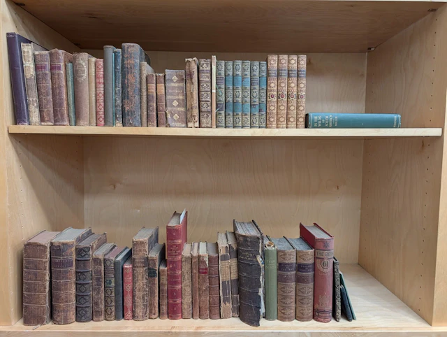Large lot of antique leather bound books.