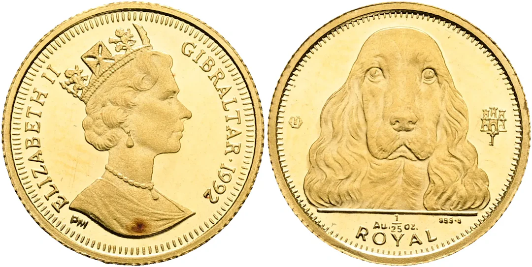 GIBRALTAR. Cocker Spaniel issue