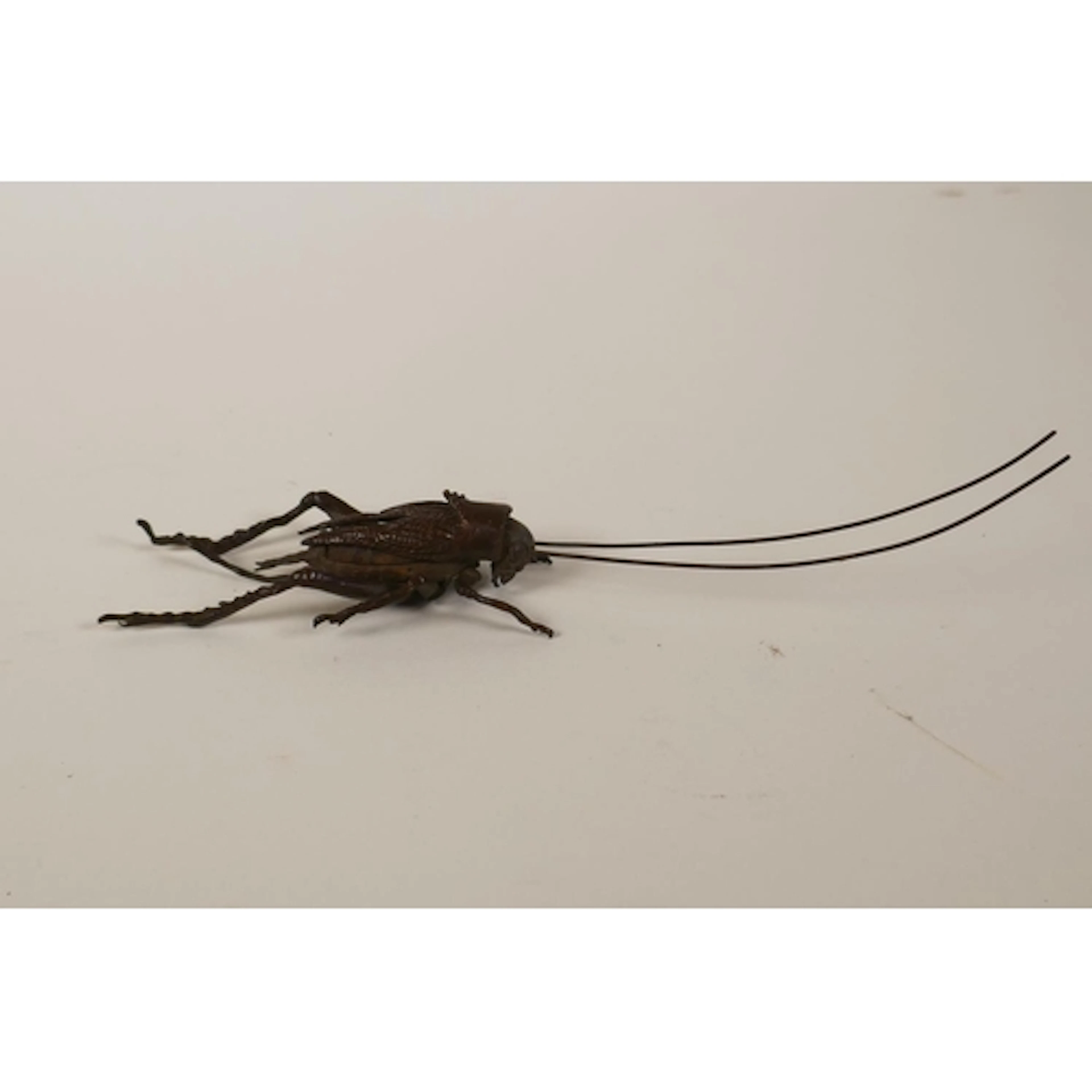 A Japanese jizai style bronze cricket with articulated limbs...