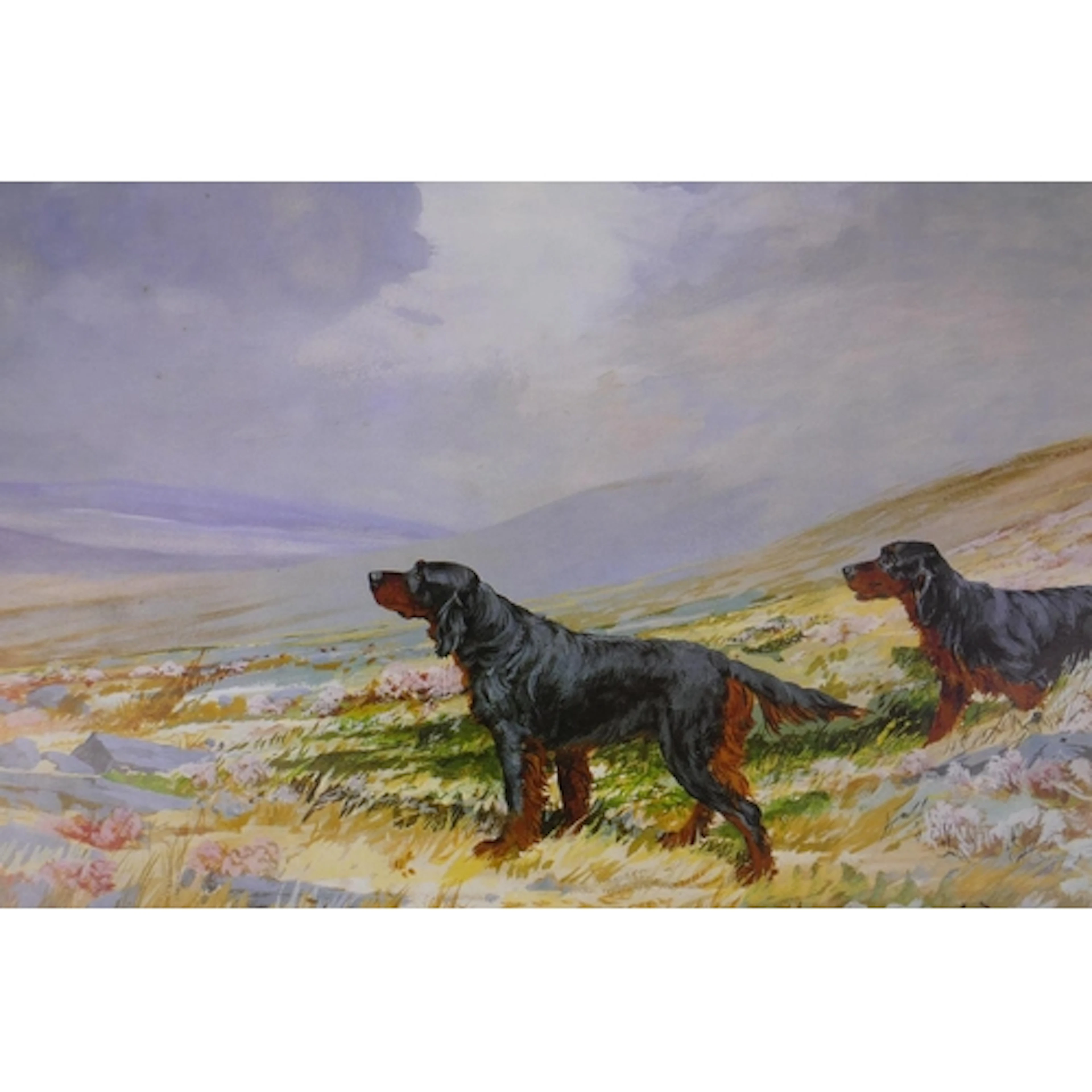 After Ruben Ward Banks, (British, 1880-1950), Gordon Setters...