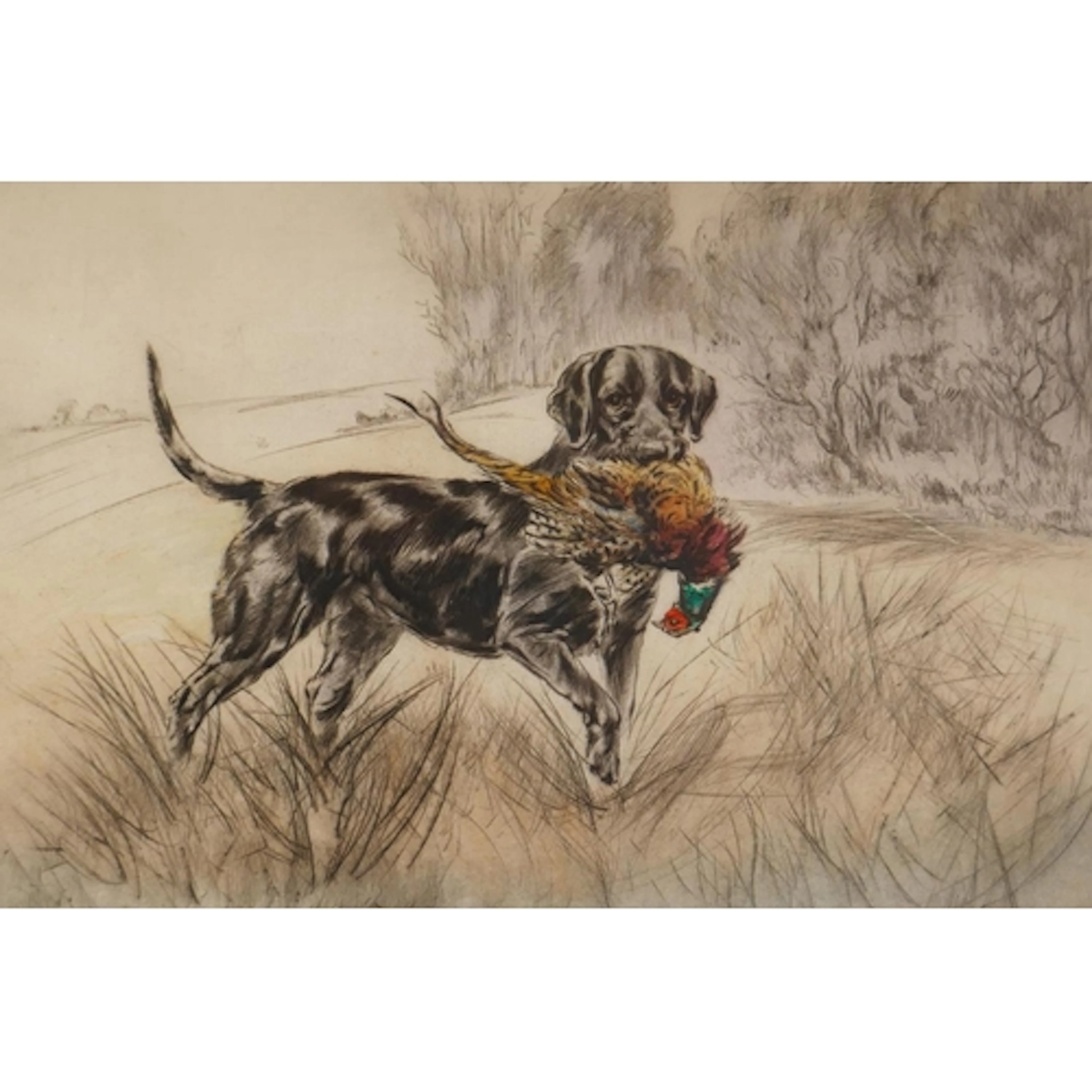 Henry Wilkinson, (British, 1921-2011), dog with game, limite...