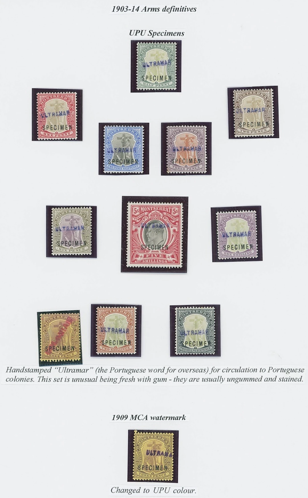 Montserrat 1903-22 specialised mint and used group on exhibition pages