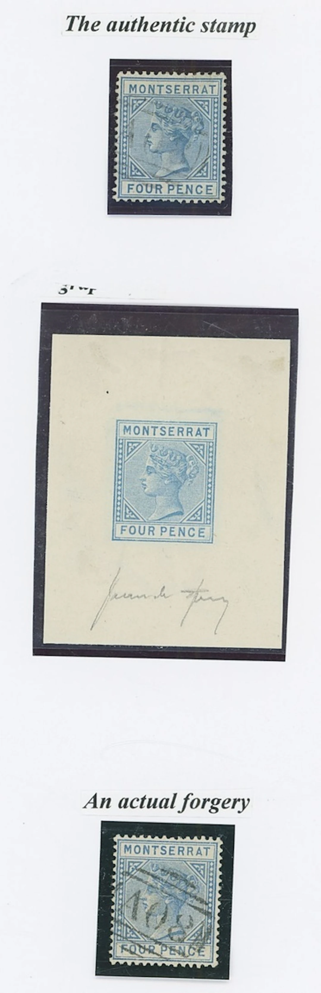 Montserrat Sperati Forgeries A specialised group on an exhibition