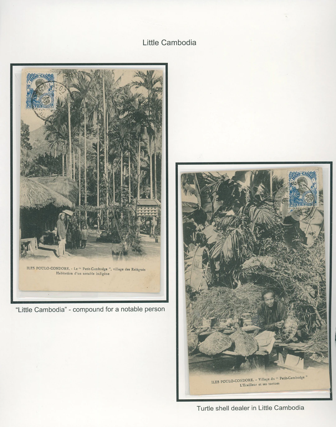 Indo-China French Indo-Chinese Post Office Thematic collections A